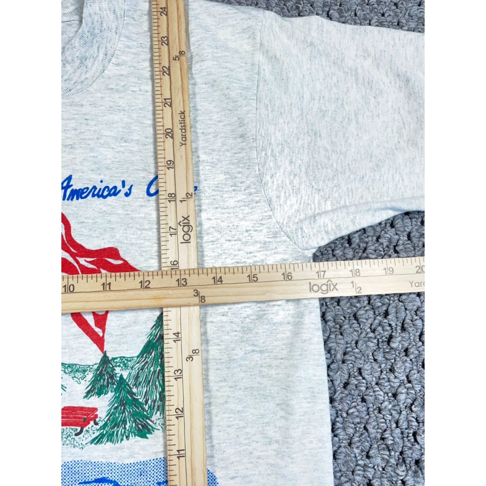 Fruit Of The Loom VTG 90s Alpena Michigan Lake Print T-Shirt Adult S Gray Fruit of the Loom Short Sleeve Crew Neck 50/50 Vintage Men's Shirt Size US S / EU 44-46 / 1 - 7 Thumbnail