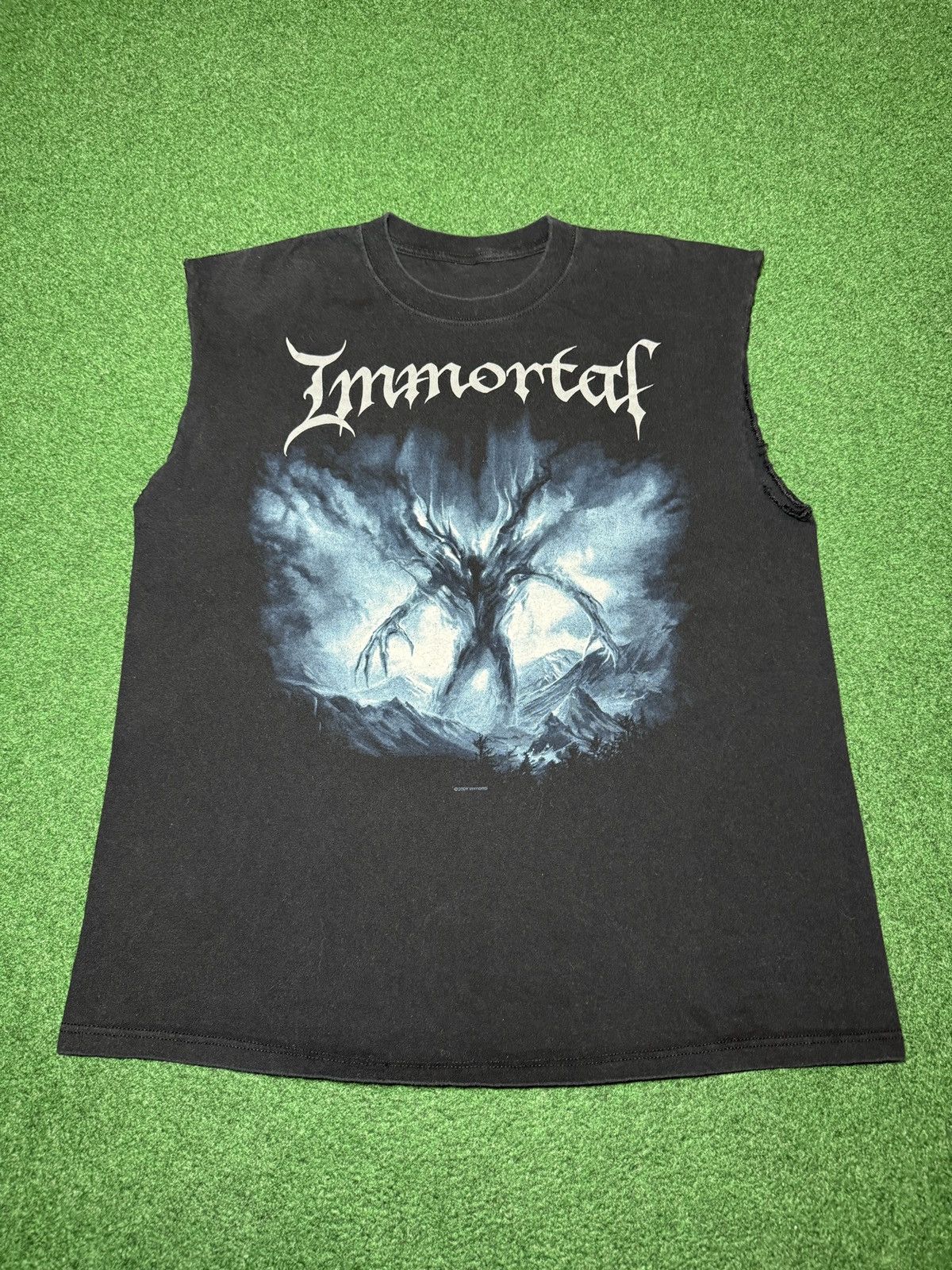 Band Tees Vintage Immortal Black Metal 90s Y2K Cutoff L Band T Shirt Size US L / EU 52-54 / 3 - 1 Thumbnail