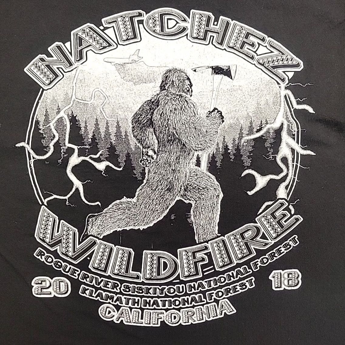 Hanes Wildland Firefighter Shirt Mens M 2018 Natchez Rouge River Klamath California Black Cotton Crew Neck Short Sleeve Graphic Print Angelfire? Size US M / EU 48-50 / 2 - 5 Thumbnail