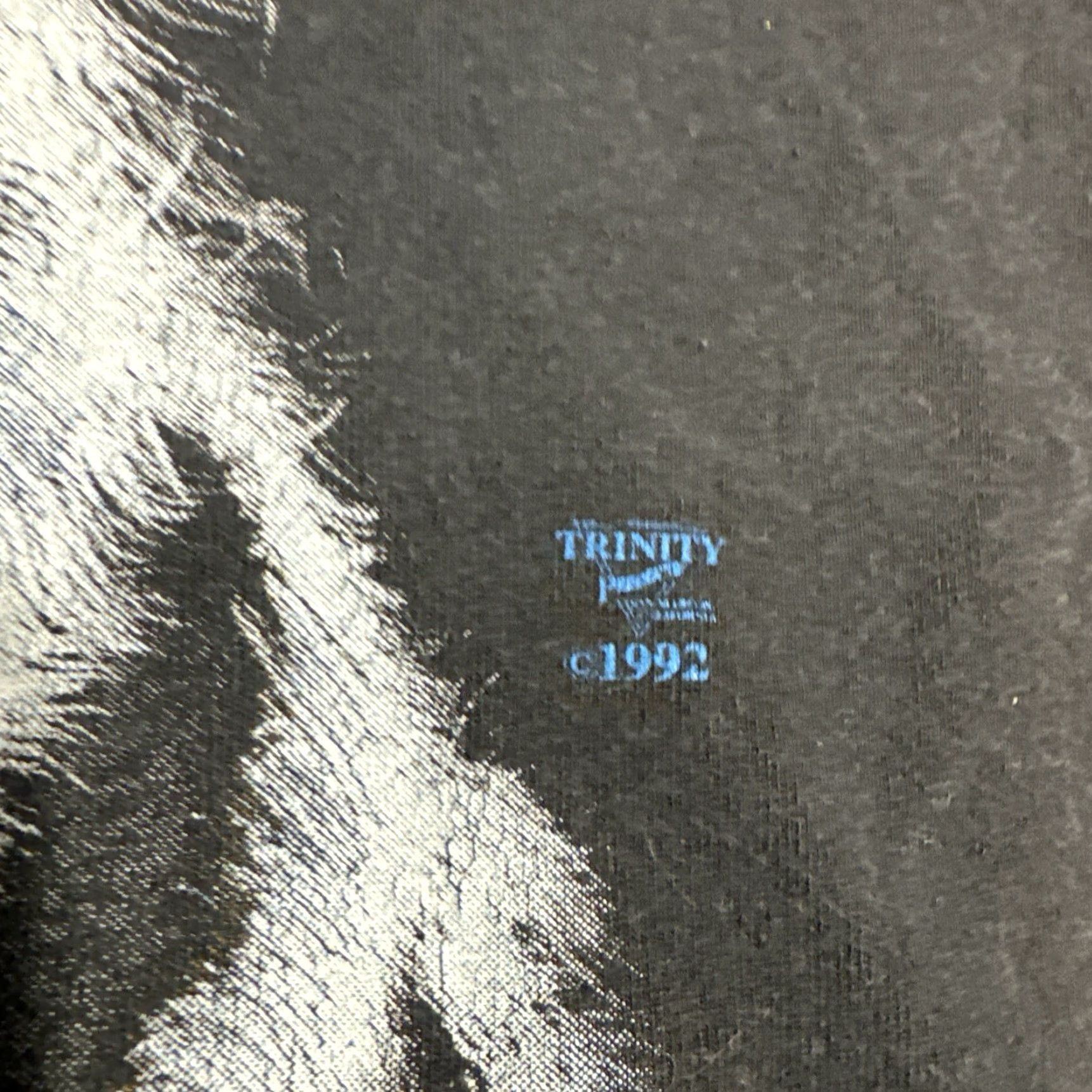 VINTAGE 1992 White Tiger Black Cat Nature Extinction T-Shirt XL Mens White Catty?