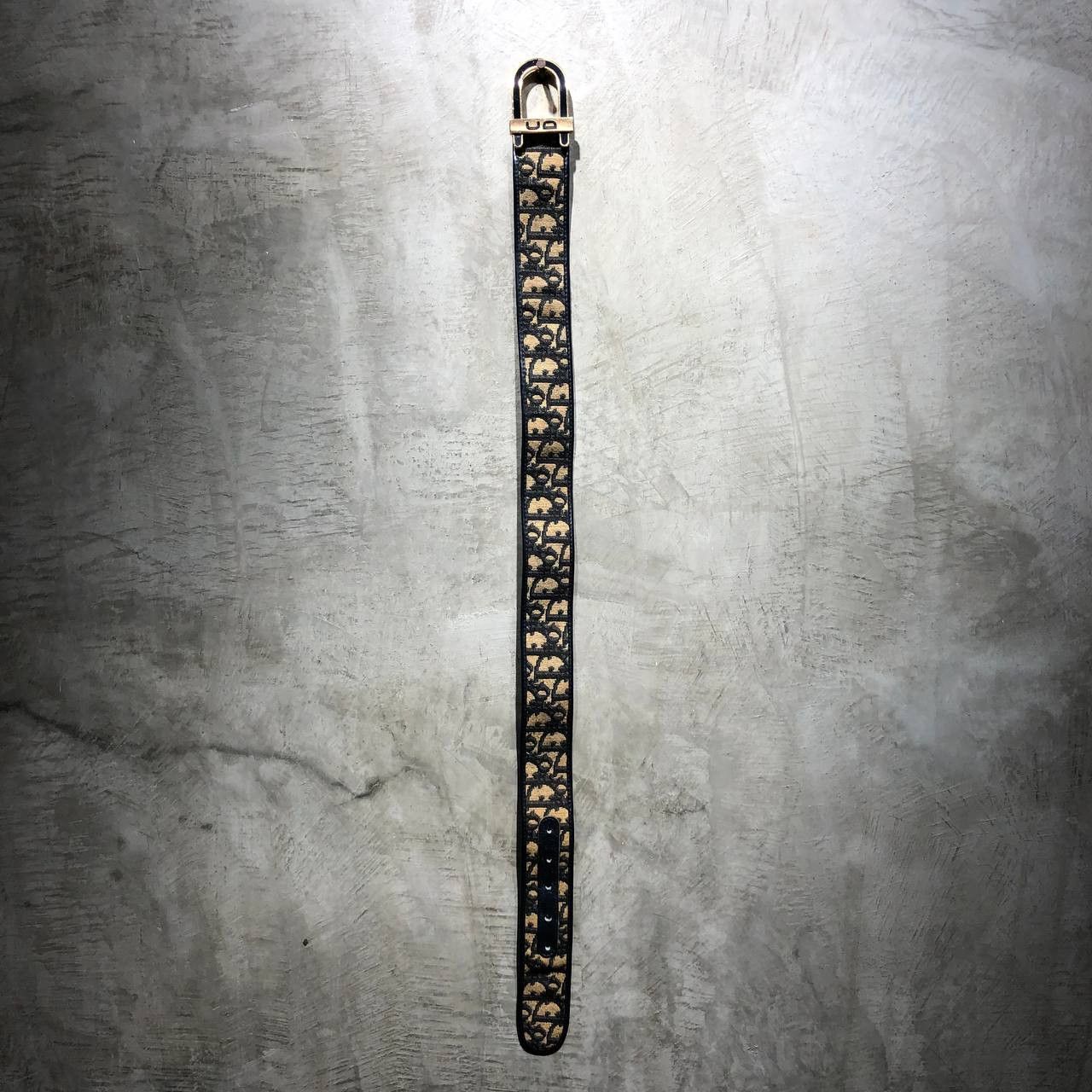 Dior Dior Monogram Belt Size ONE SIZE - 1 Thumbnail