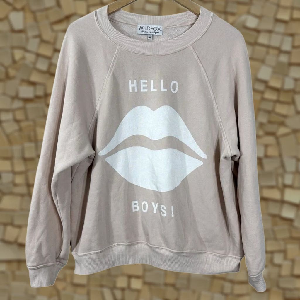 Wildfox Wildfox Hello Boys Lips Graphic Sweatshirt Blush Pink Crew Neck Womens M Size M / US 6-8 / IT 42-44 - 1 Thumbnail