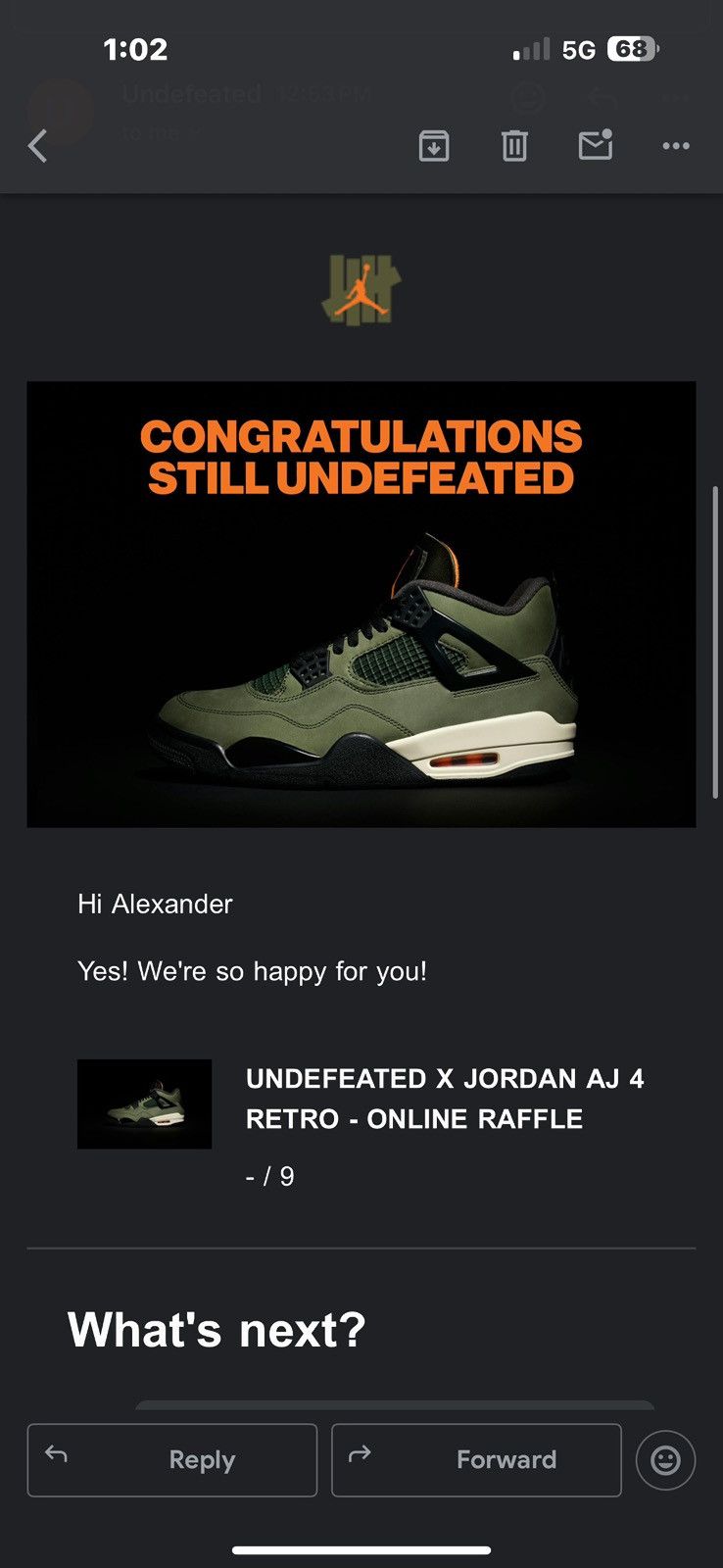 Jordan Brand × Undefeated jordan 4 undefeated Size US 9 / EU 42 - 4 Thumbnail