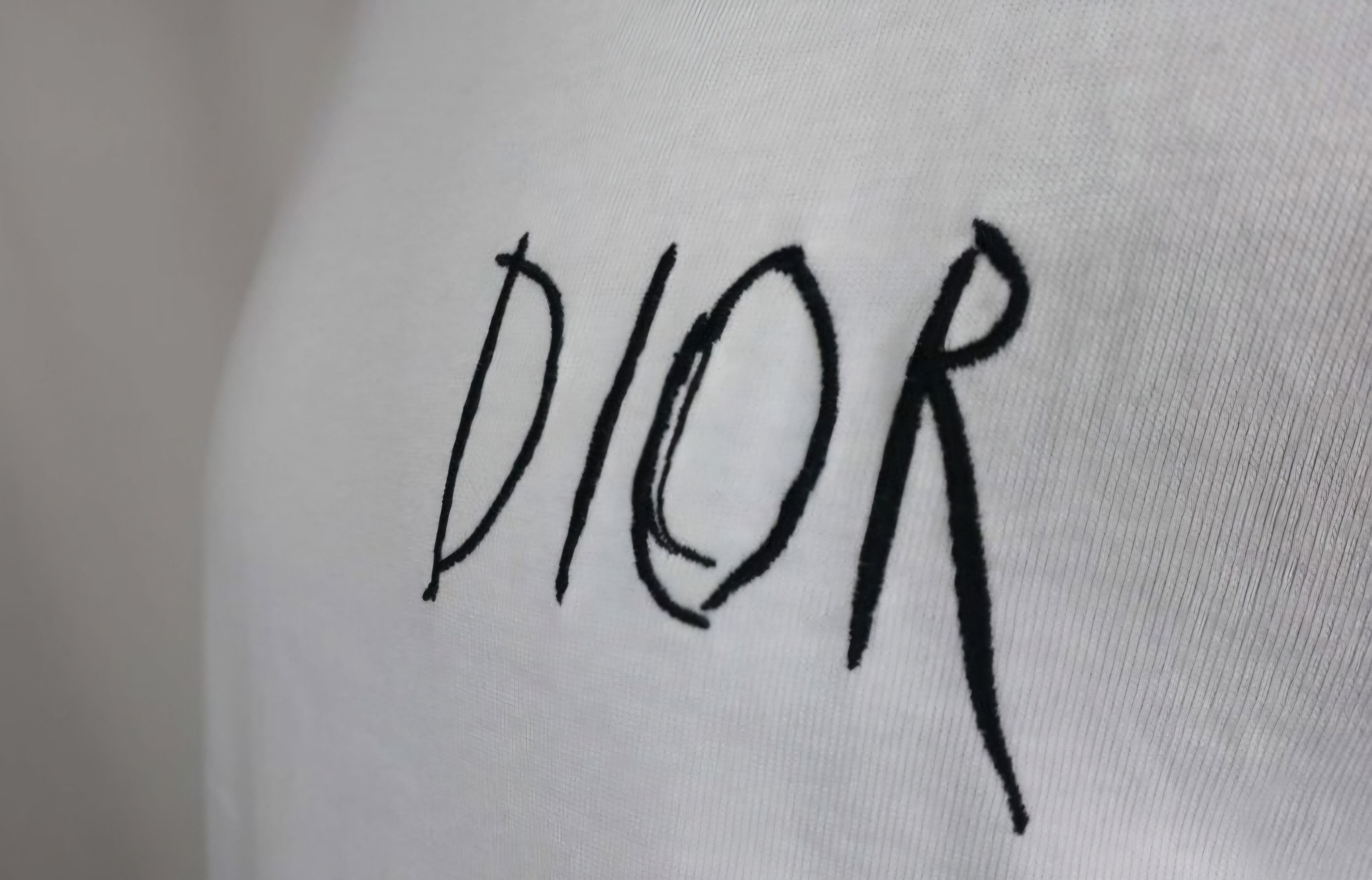 Dior Dior x Raymond Pettibon Embroidered Crewneck T-Shirt Size US L / EU 52-54 / 3 - 7 Thumbnail