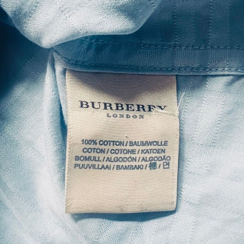 Burberry Burberry London Blue Plaid ButtonUp Shirt | Size L Size L / US 10 / IT 46 - 6 Thumbnail