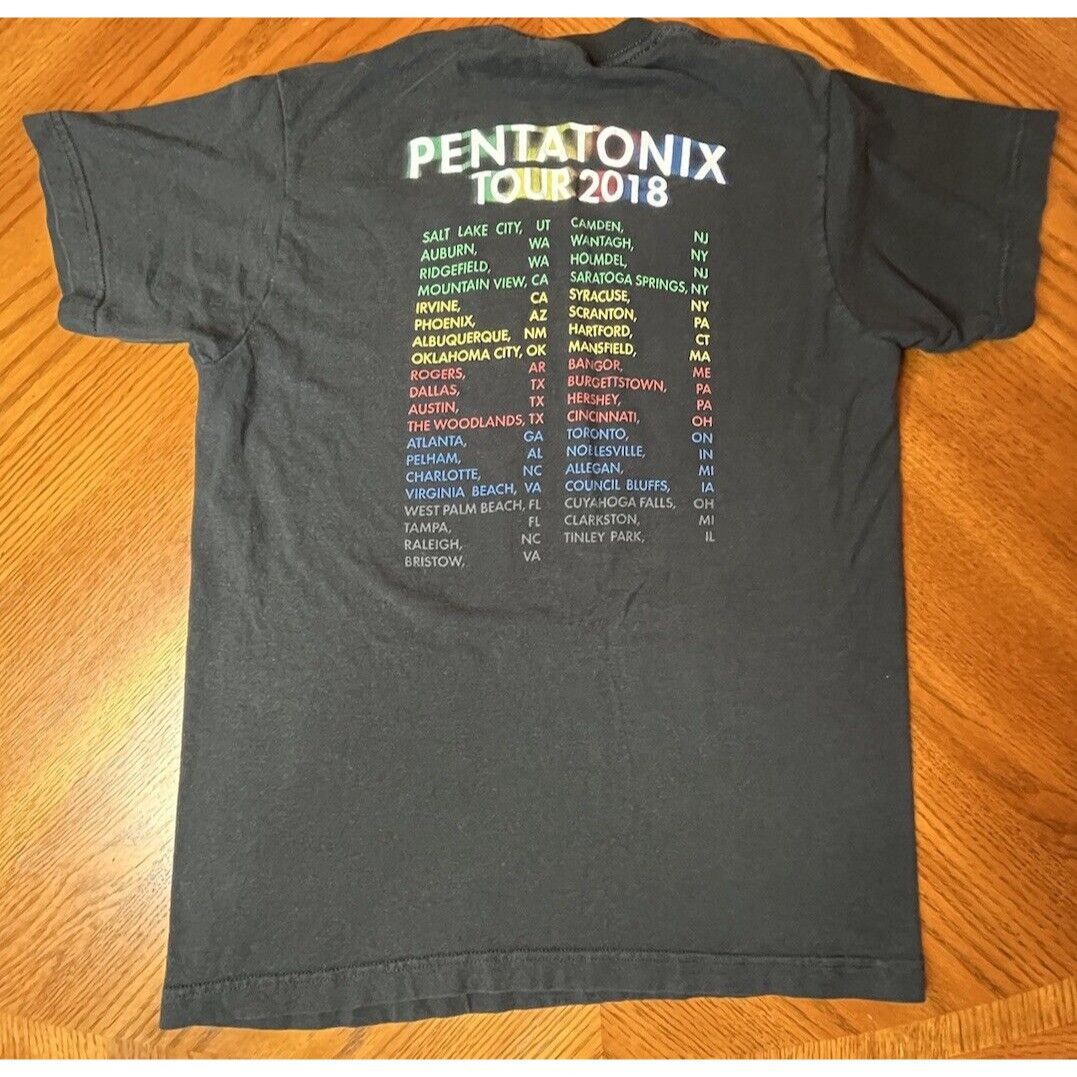 Tultex Pentatonix Band T-Shirt Concert Tour 2018 Size M Tultex Size US M / EU 48-50 / 2 - 3 Thumbnail