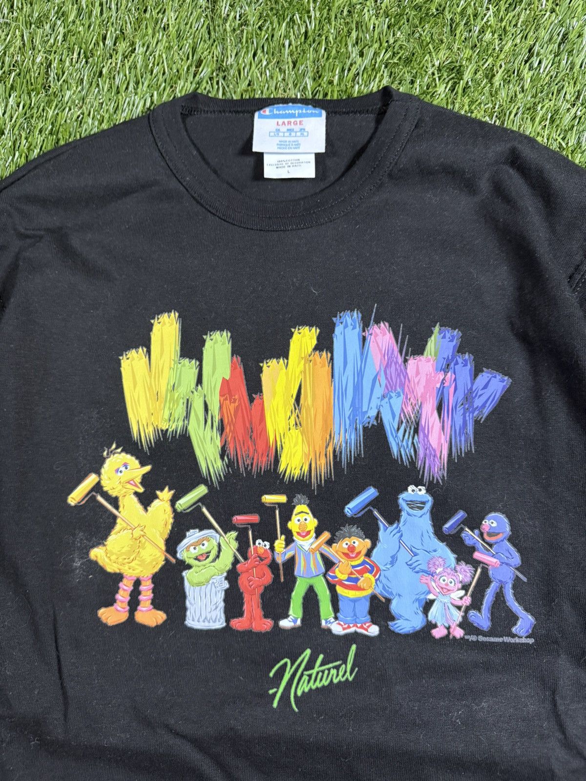 Champion Y2k Sesame Street Champion Art Graphic Hype KAWS Style Tee Size US L / EU 52-54 / 3 - 2 Thumbnail