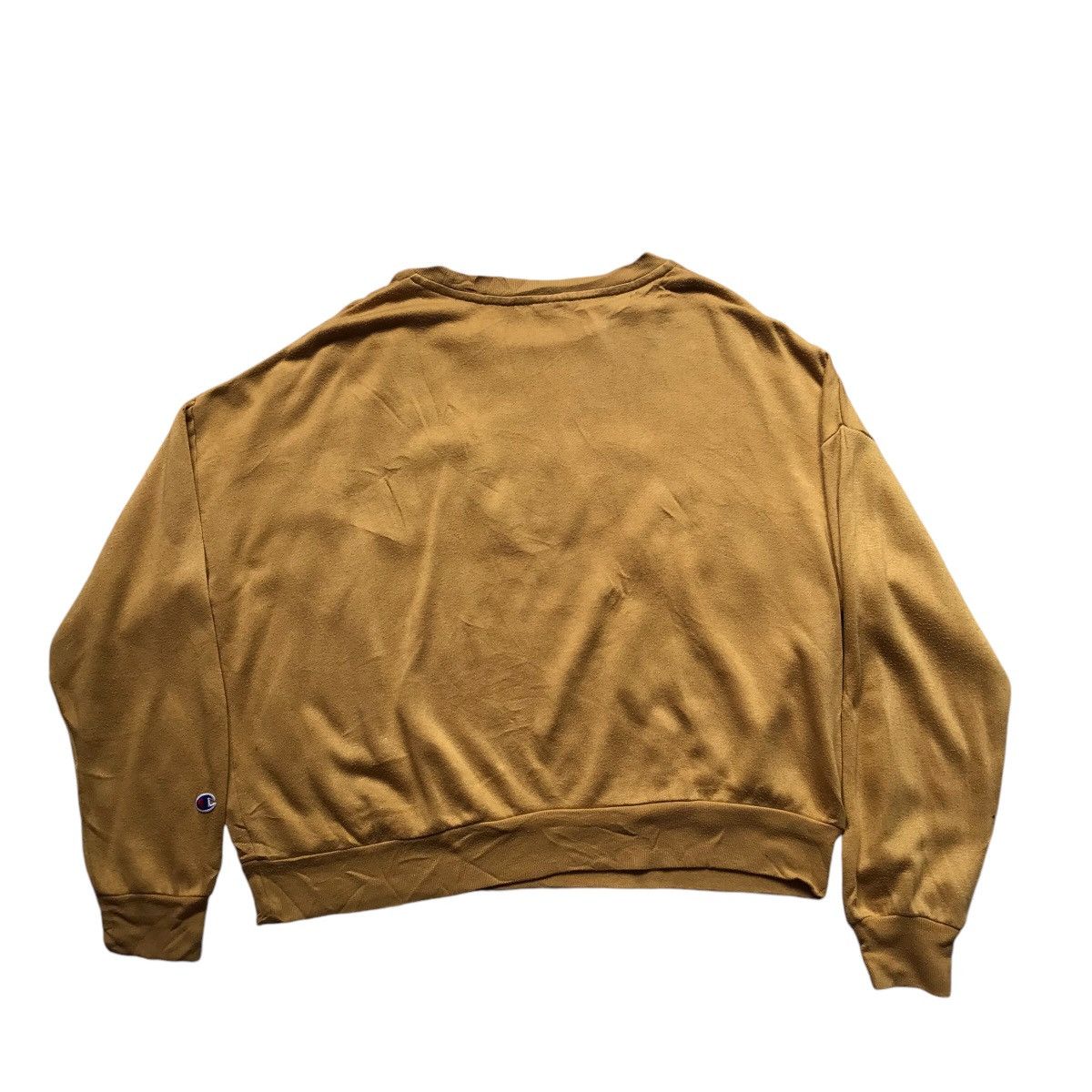 Champion Vintage Champion Spellout Crewneck cropped Size M / US 6-8 / IT 42-44 - 6 Thumbnail
