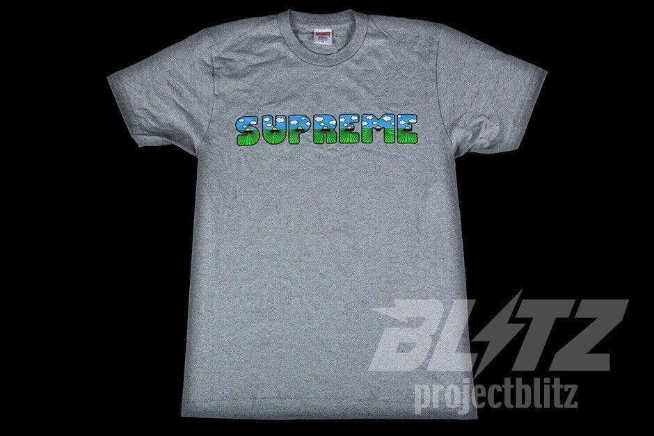 Supreme SS16 SUPREME TEE T-SHIRT HEATHER GREY L 2016 Size US L / EU 52-54 / 3 - 2 Thumbnail