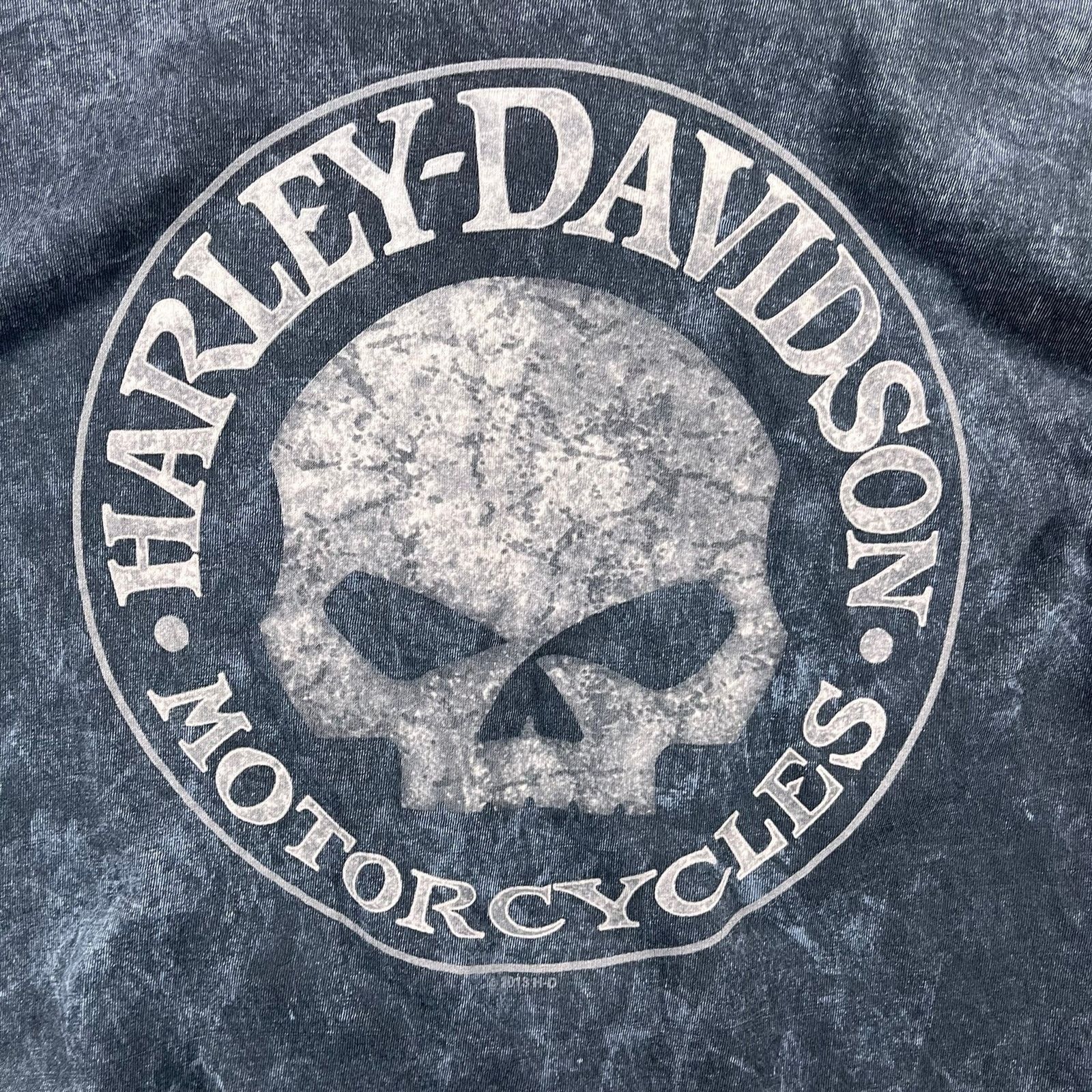 Harley Davidson Faded vintage style Harley Davidson t shirt Size US L / EU 52-54 / 3 - 8 Thumbnail