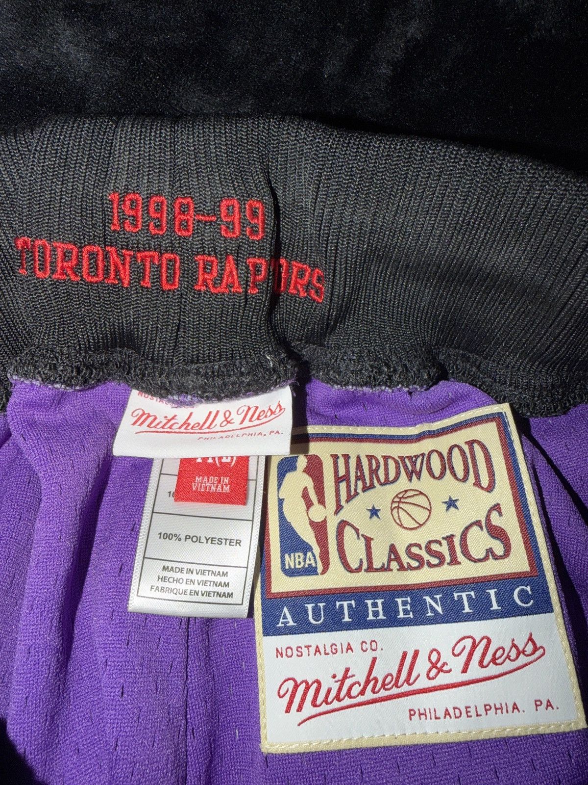 Mitchell & Ness Mitchell & Ness Hardwood Classic Raptor Shorts Size US 44 / EU 60 - 1 Thumbnail