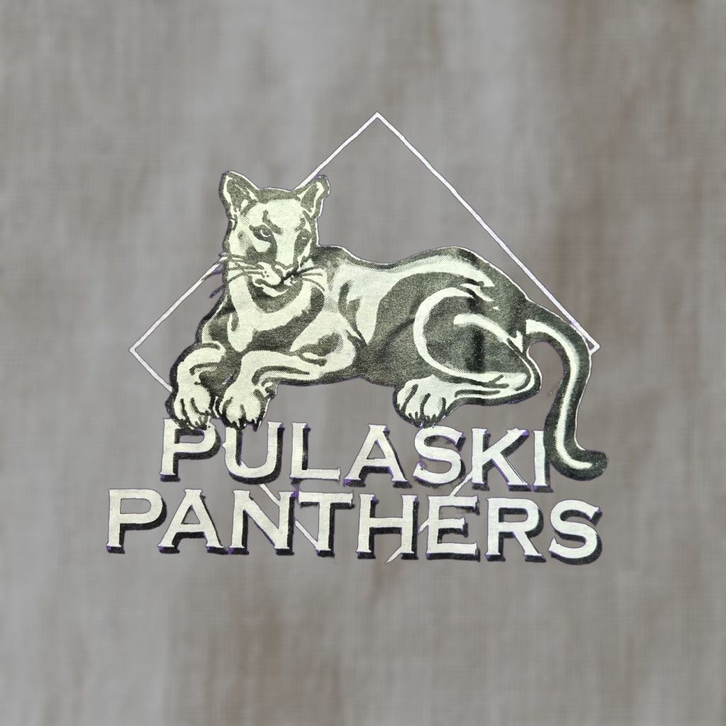 Hanes Hanes Shirt Adult Men's 2XL Purple Pulaski Panthers Virginia VA Tee T-Shirt XXL Size US XXL / EU 58 / 5 - 1 Thumbnail