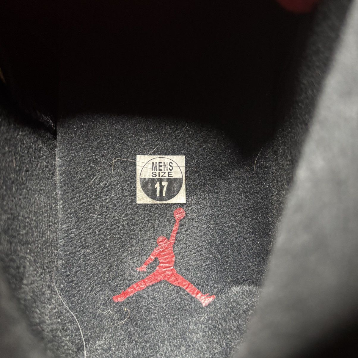 Jordan Brand Size 17-Jordan 5 White Cement 2017 Lightly Worn No Box not15 Size US 15 / EU 48 - 12 Thumbnail