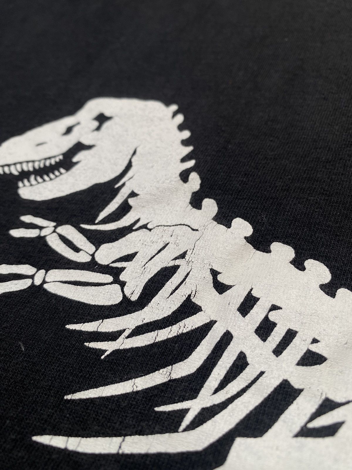 Band Tees × Japanese Brand × Vintage Vintage 90s Dinosaur Skeleton Royal City Tee Faded Size US XL / EU 56 / 4 - 11 Thumbnail