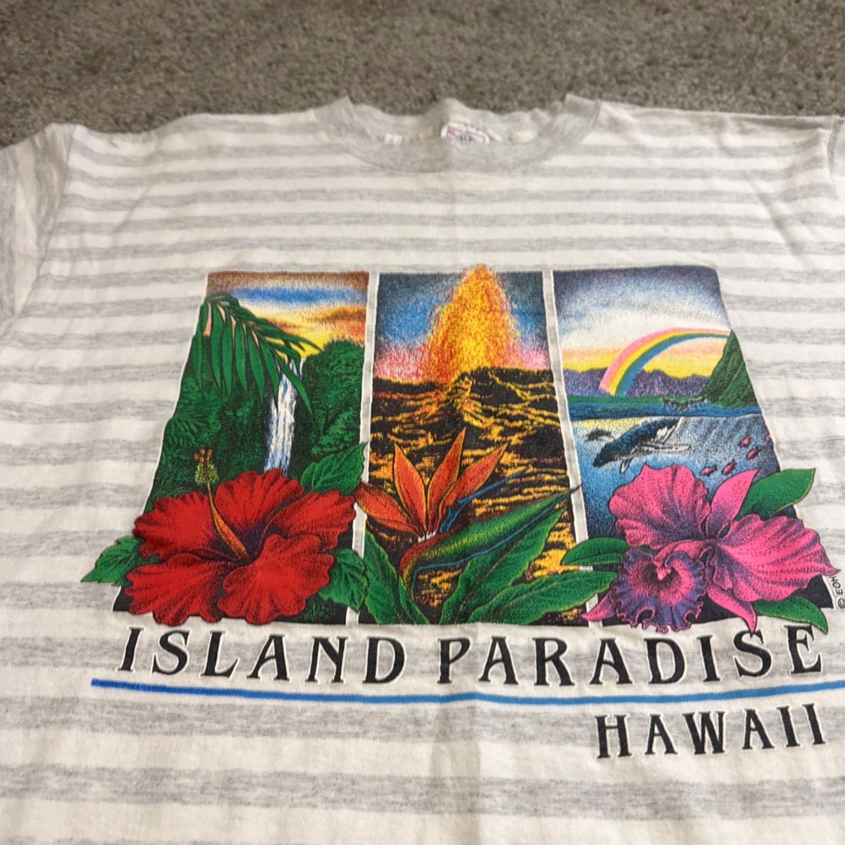 Delta VINTAGE 90s Island Paradise Hawaii Nature Volcano White Grey Stripe T-Shirt XL Mens Delta Size US XL / EU 56 / 4 - 3 Thumbnail
