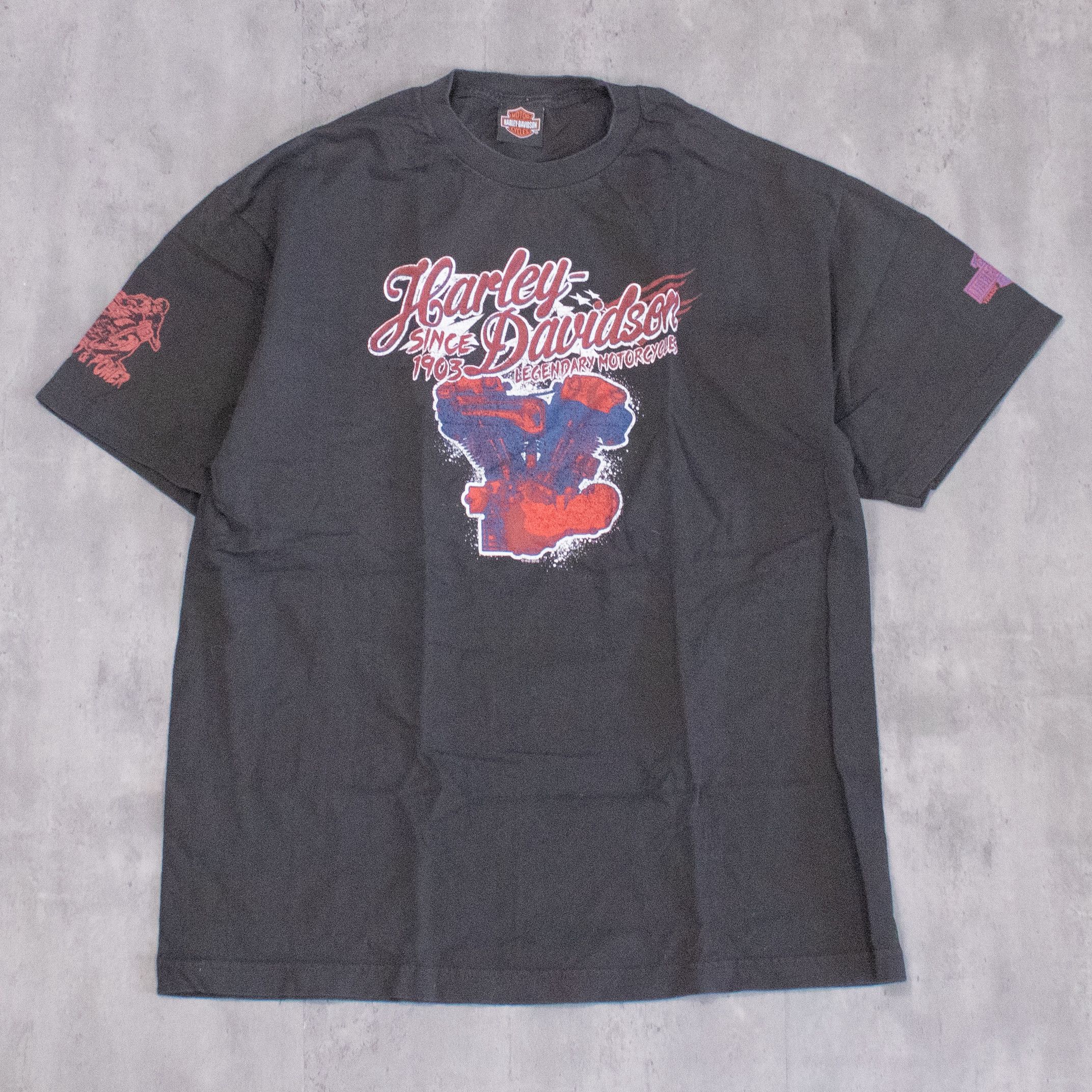 Harley Davidson Y2K 2016 Harley Davidson Badlands Black Double Stitch Tee Size US L / EU 52-54 / 3 - 3 Thumbnail