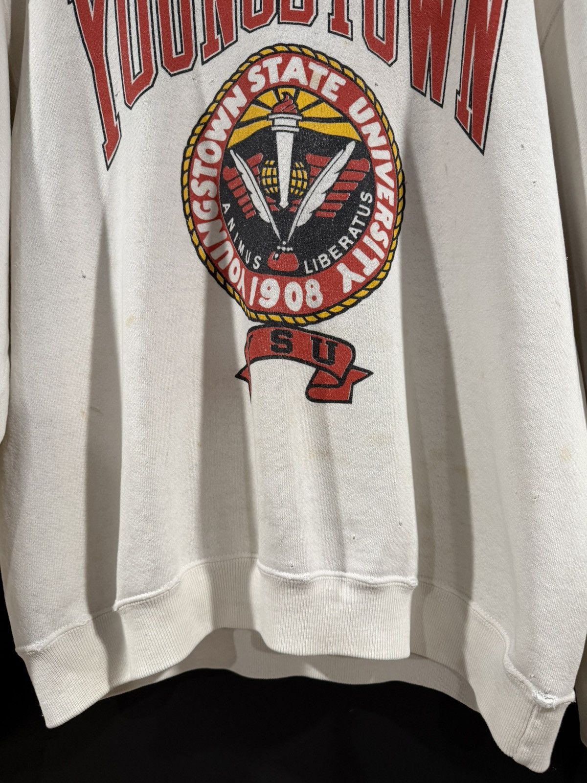 Vintage 1980s Vintage Youngstown State Soft Distressed Sweatshirt XL Size US XL / EU 56 / 4 - 6 Thumbnail
