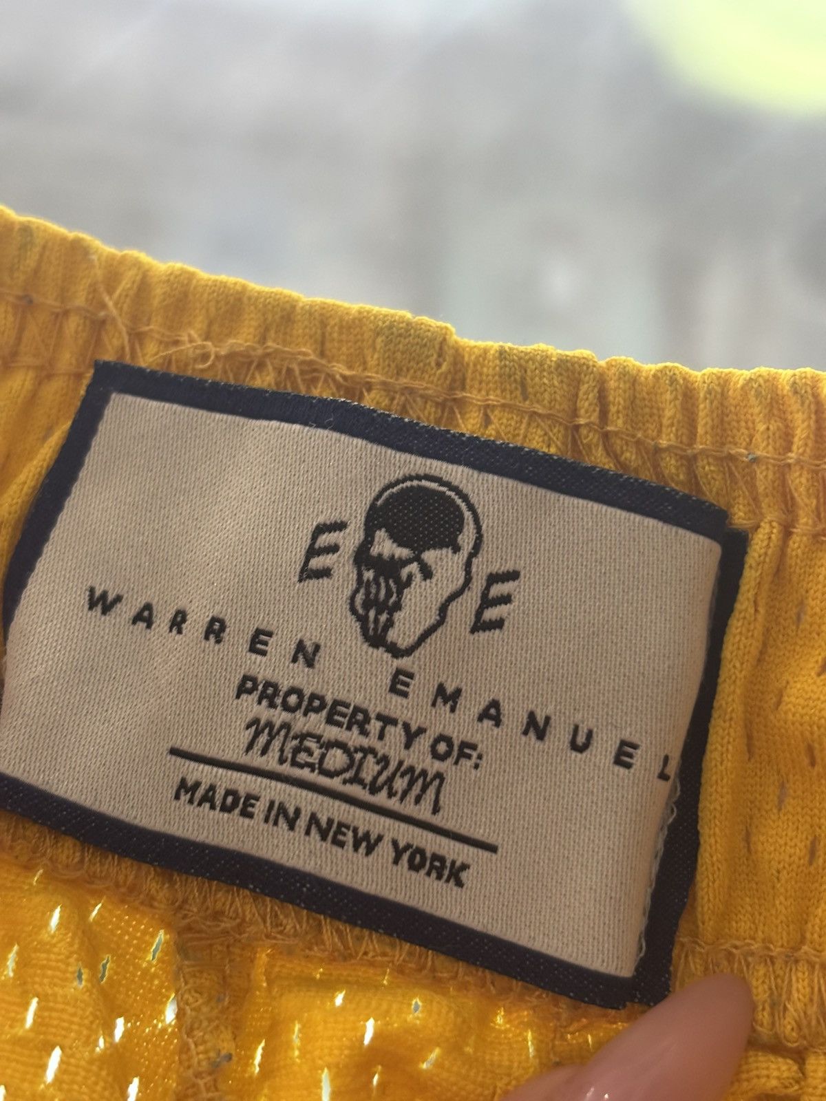 Eric Emanuel × Warren Lotas ERIC EMANUEL X WARREN LOTAS MESH SHORTS SIZE M Size US 38 / EU 54 - 7 Thumbnail