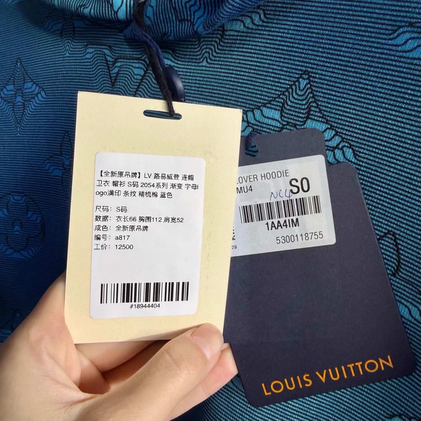Louis Vuitton LV 2054 Gradient Monogram Hoodie S Blue Size US S / EU 44-46 / 1 - 5 Thumbnail