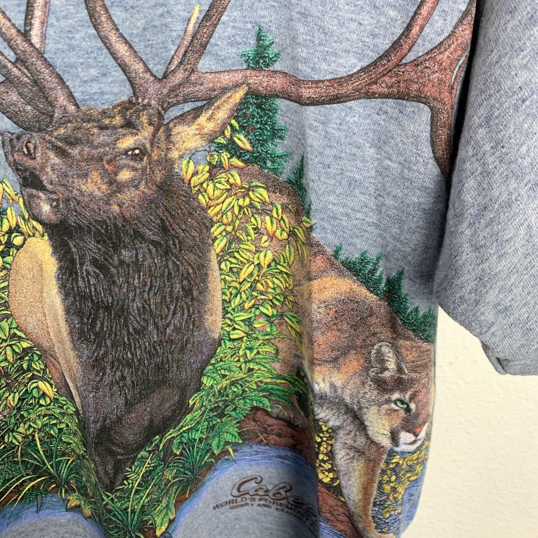 Vintage VINTAGE Cabelas Shirt Unisex Adults Medium Blue Nature Kearney Habitat 90s? - Note: This is problematic. Size US M / EU 48-50 / 2 - 5 Thumbnail