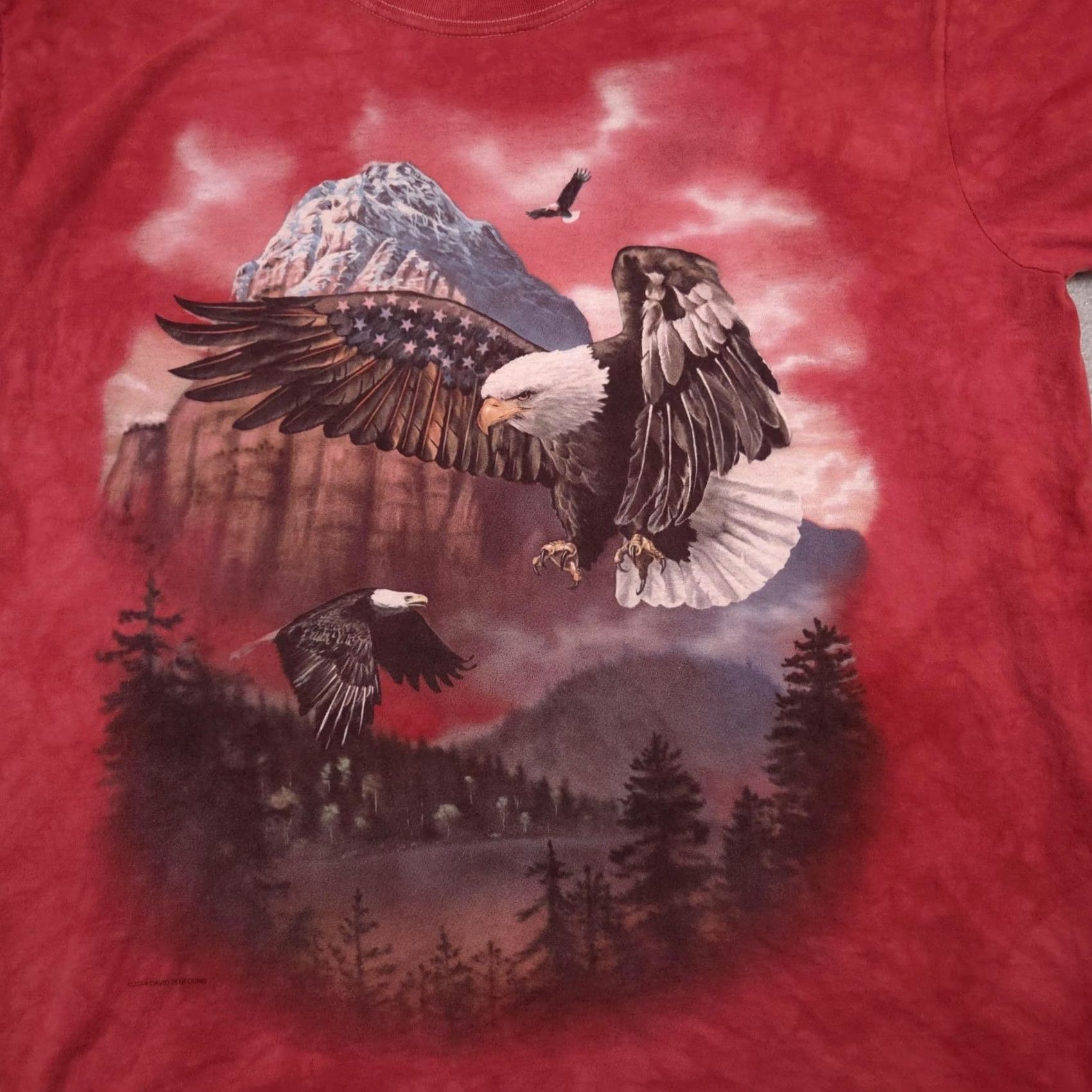 The Mountain VINTAGE The Mountain Bald Eagle Mountain Scenic Shirt Mens Large Red Tie Dye Graphic David Penfound Size US L / EU 52-54 / 3 - 4 Thumbnail