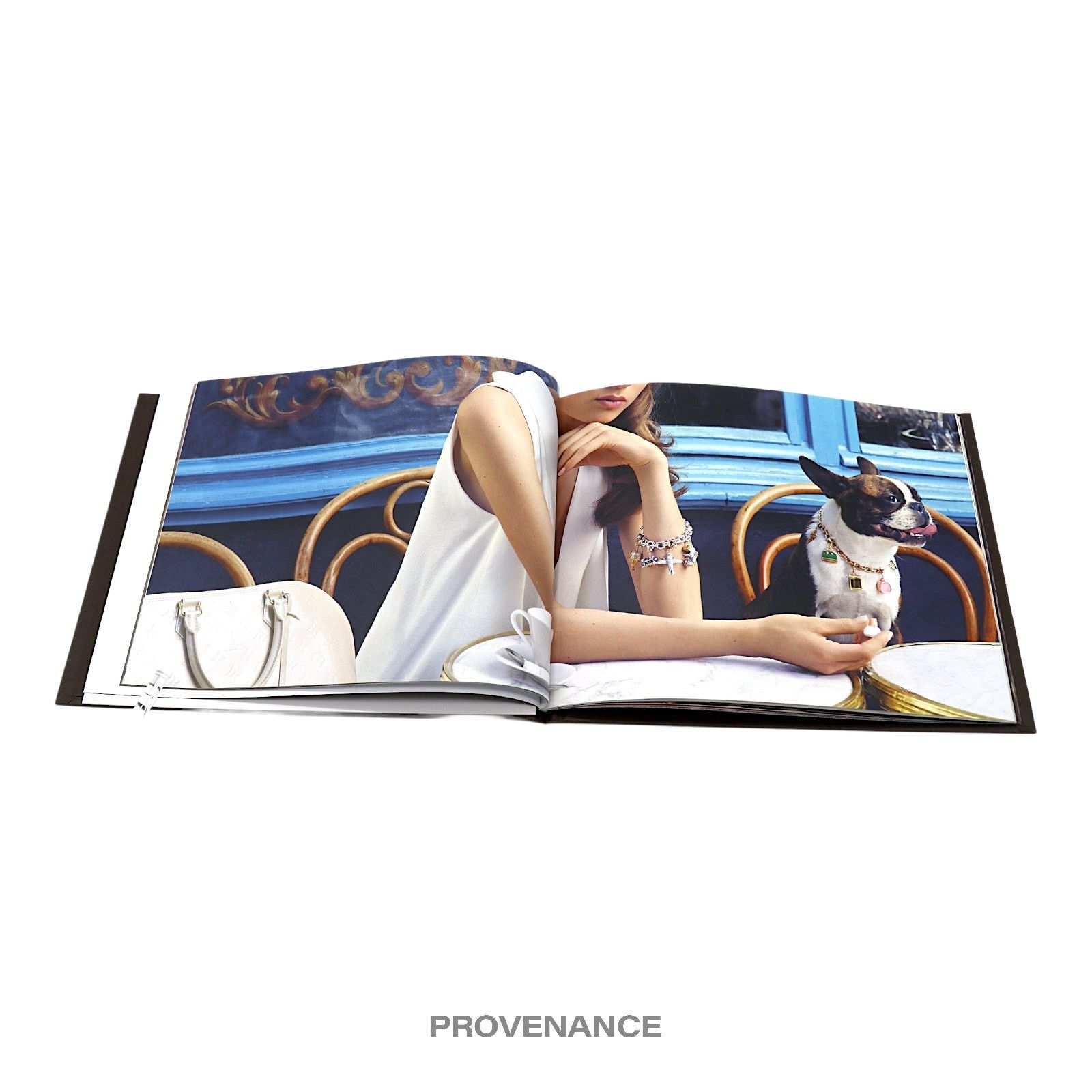 Louis Vuitton 🔴 Louis Vuitton Book - Joaillerie High Jewelry Size ONE SIZE - 5 Thumbnail