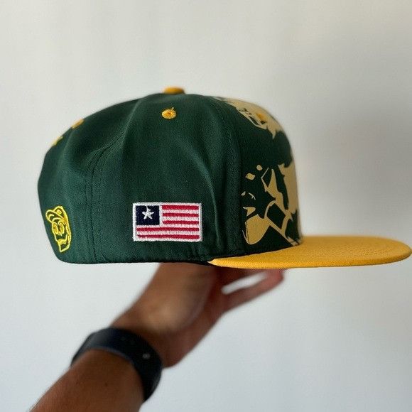 NFL NEW GREEN BAY PACKERS NFL COLORS FLAT BILL SNAPBACK Size ONE SIZE - 5 Thumbnail