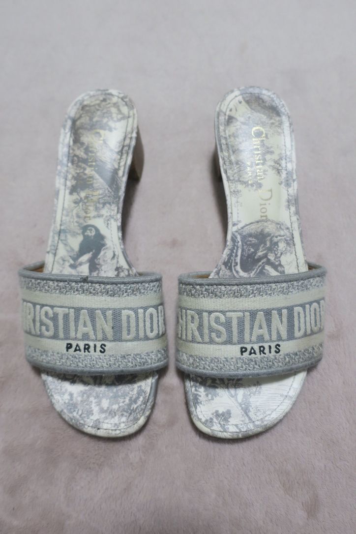 Dior Dior Dway Heeled Slide Embroidered Size US 6 / IT 36 - 1 Thumbnail
