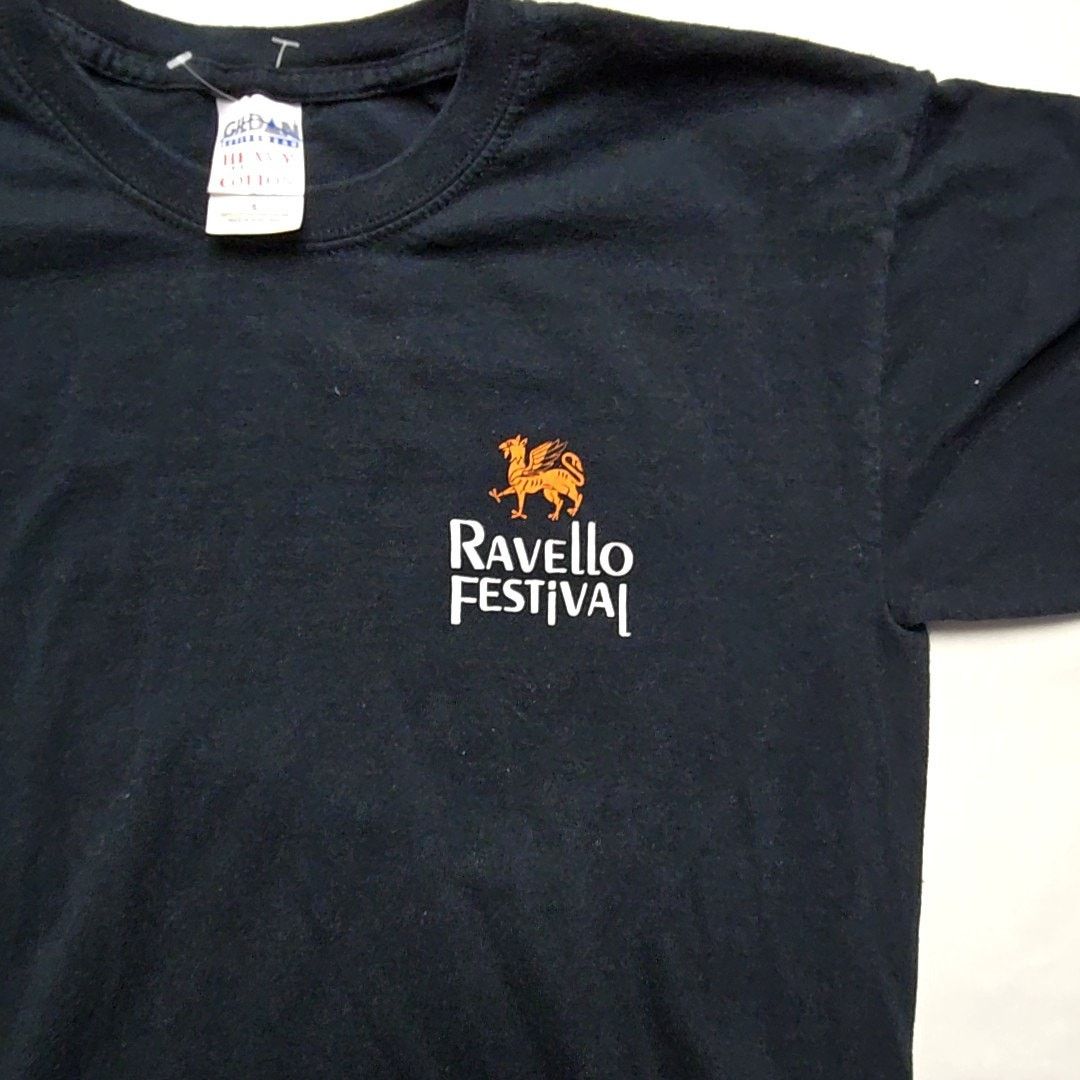 Gildan Ravello Festival Graphic Tee Black Orange Small Shirt Size US S / EU 44-46 / 1 - 5 Thumbnail