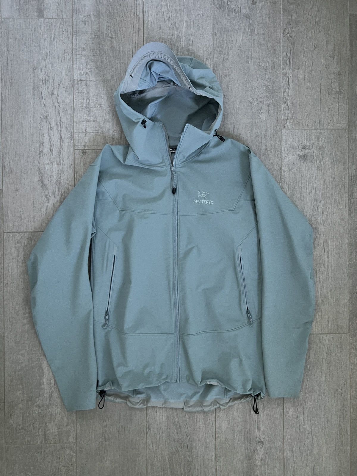 Arc'Teryx Arc’teryx Gamma LT Hoodie 2020 (L) | Grailed