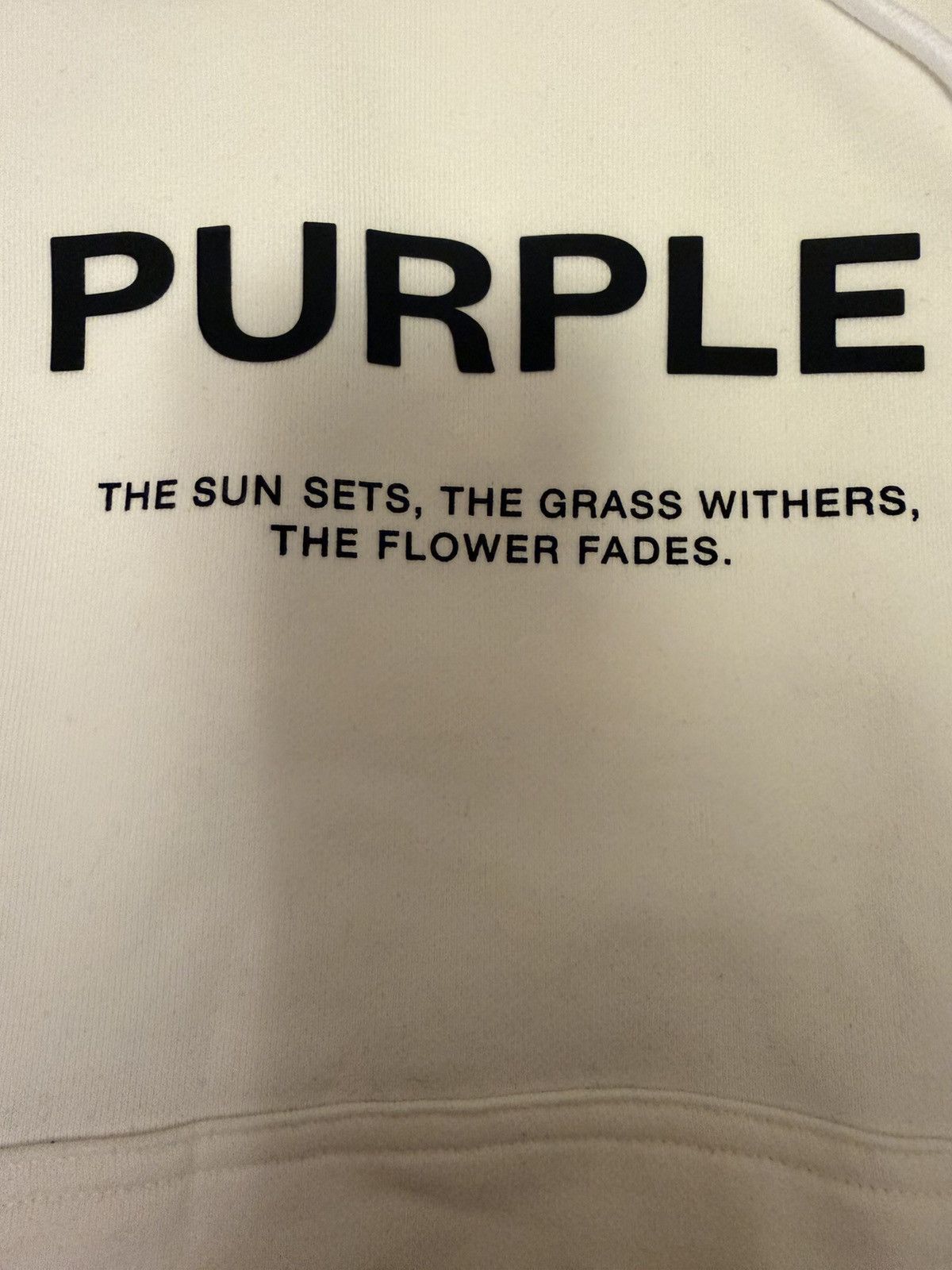 Purple Brand Authentic Brand New Purple Brand Hoodie Sz M Size US M / EU 48-50 / 2 - 3 Thumbnail