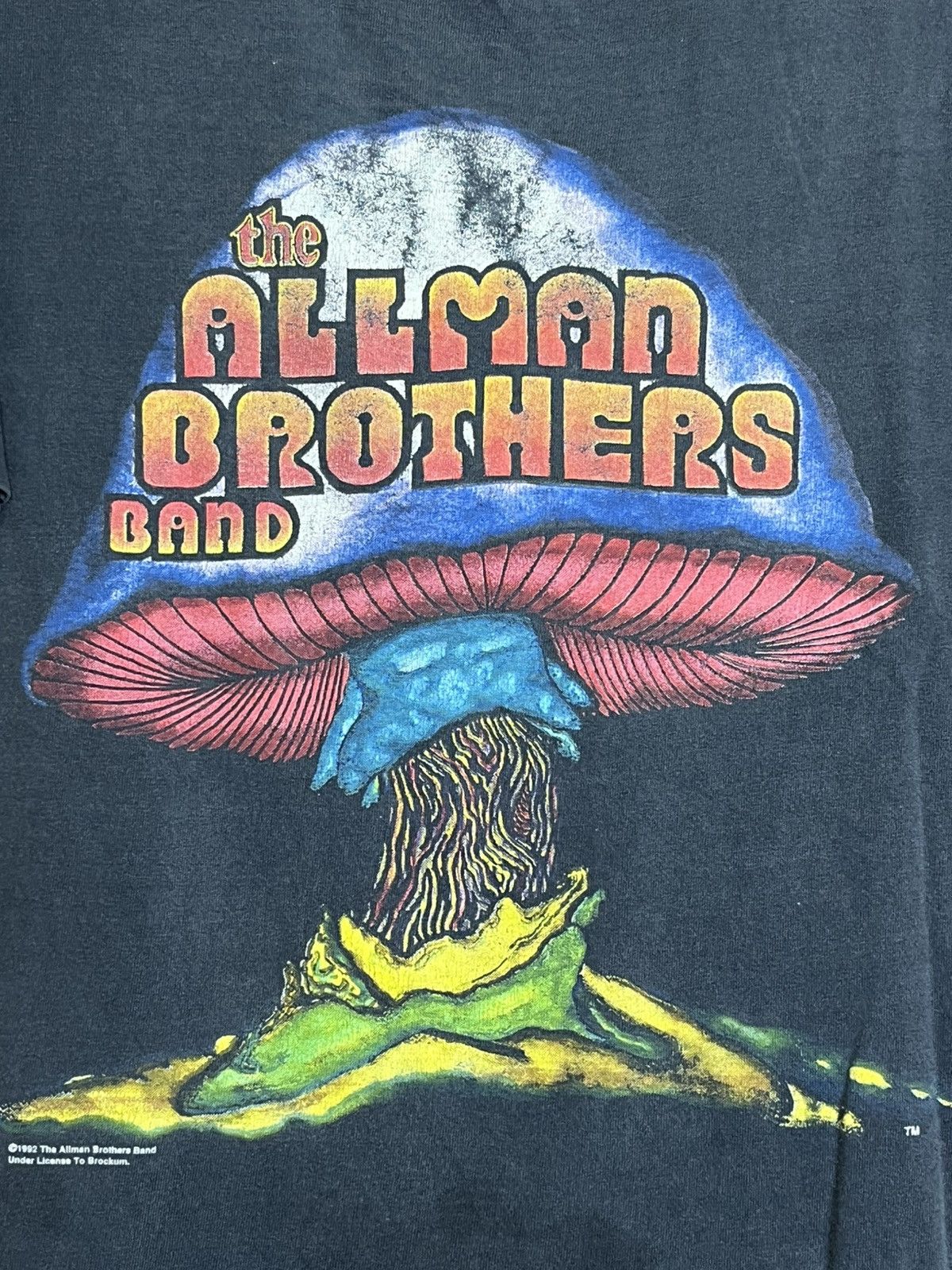 Band Tees VINTAGE THE ALLMAN BROTHERS BAND SUMMER 1992 FADED T SHIRT Size US L / EU 52-54 / 3 - 6 Thumbnail