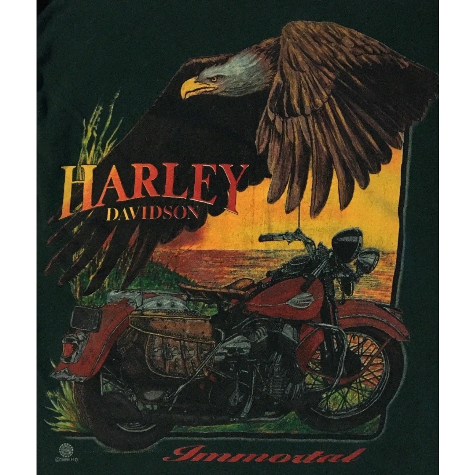 Harley Davidson VINTAGE Harley Davidson Eagle Faded Immortal Shirt M USA Biker Grunge 90s 80s Green Long Sleeve Crew Neck Graphic Tee Men Mens Size US M / EU 48-50 / 2 - 3 Thumbnail