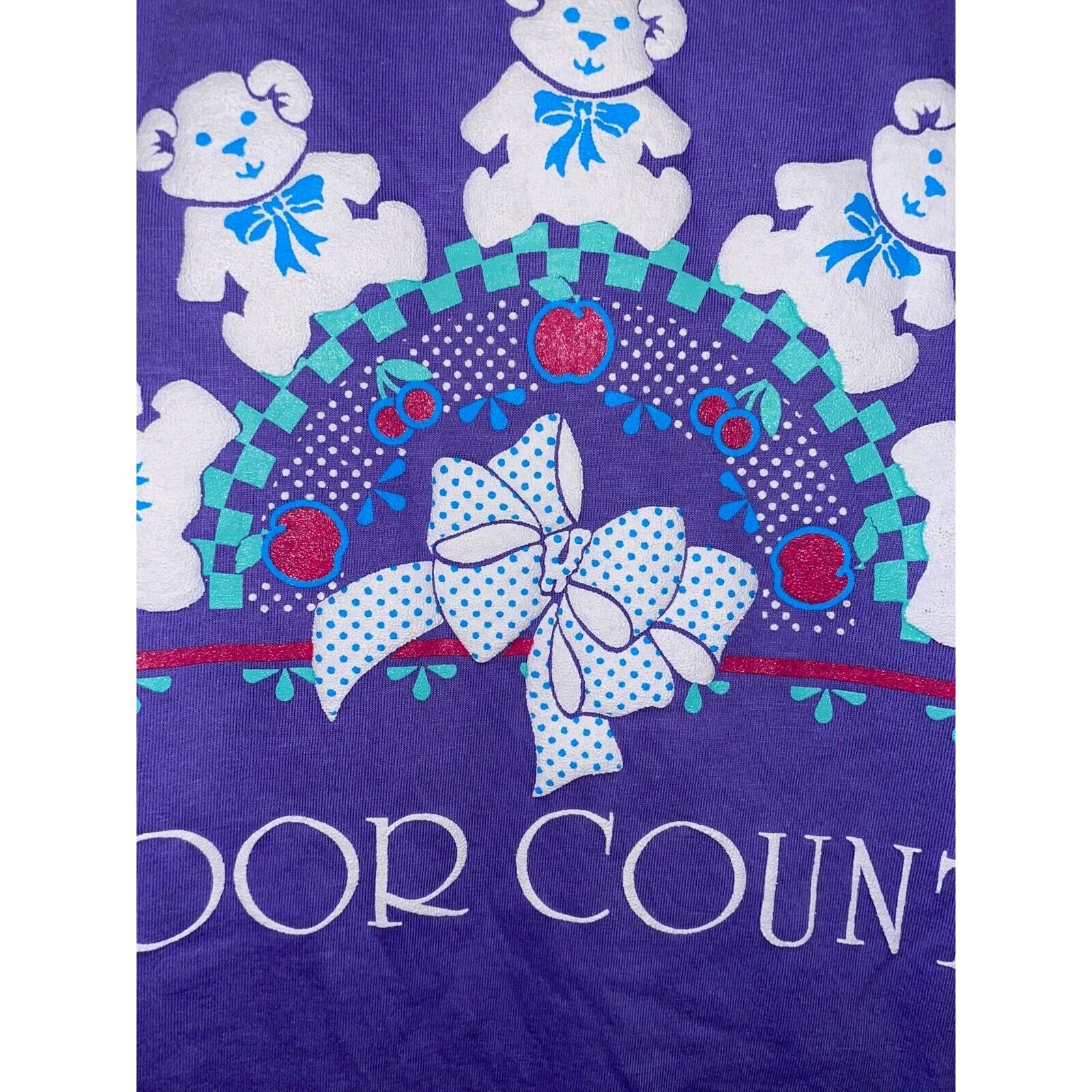 Jerzees Vintage Door County Shirt Teddy bear Purple Tee VTG 90s L Size US L / EU 52-54 / 3 - 4 Thumbnail