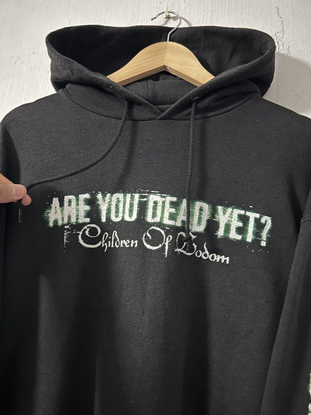Band Tees Vintage 00’s Band Children of Bodom are you dead yet hoodie Size US L / EU 52-54 / 3 - 3 Thumbnail