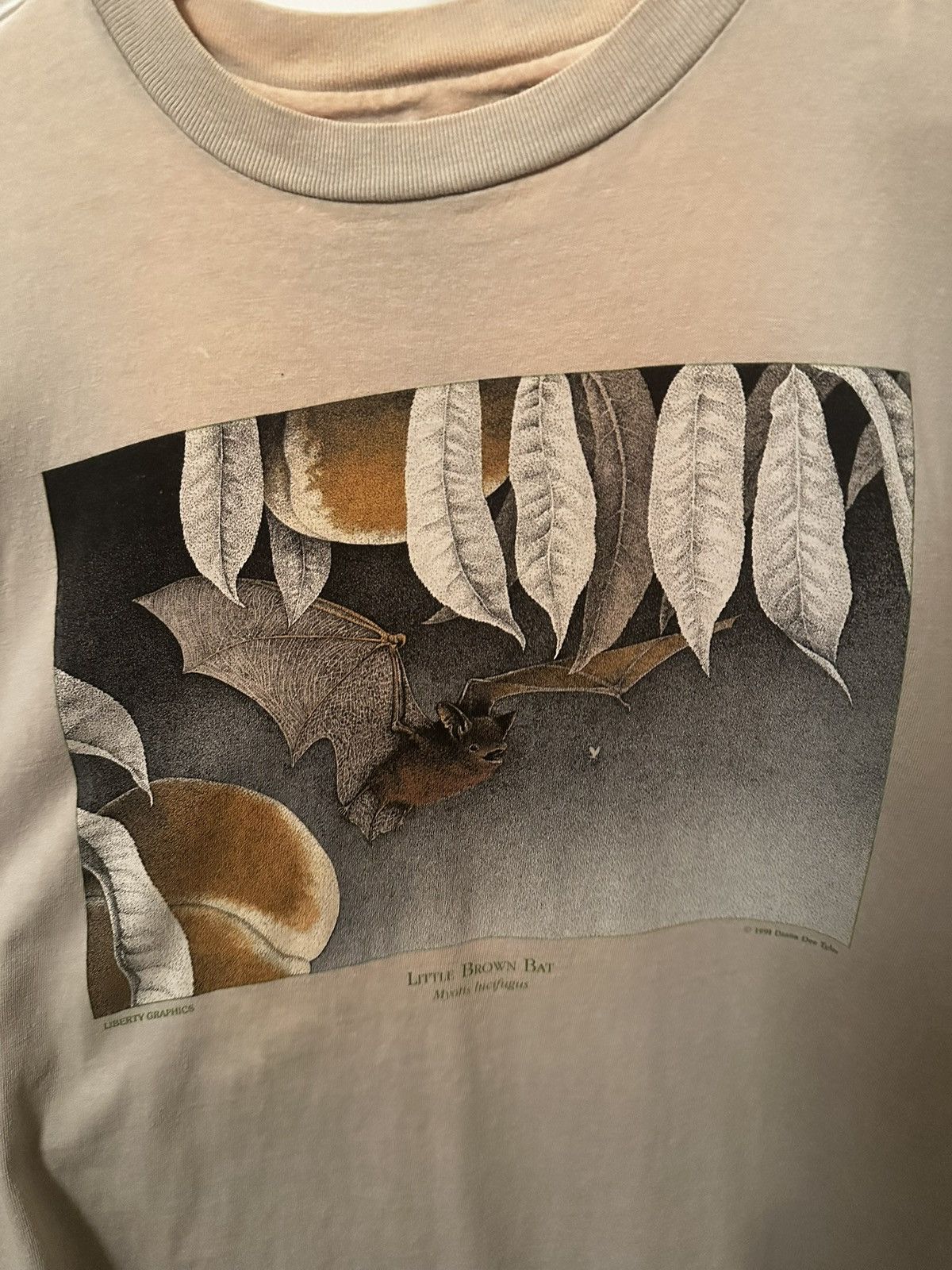 Other Vintage Liberty Graphics “Little Brown Bat” Nature Tee 1998 Size US XL / EU 56 / 4 - 2 Thumbnail