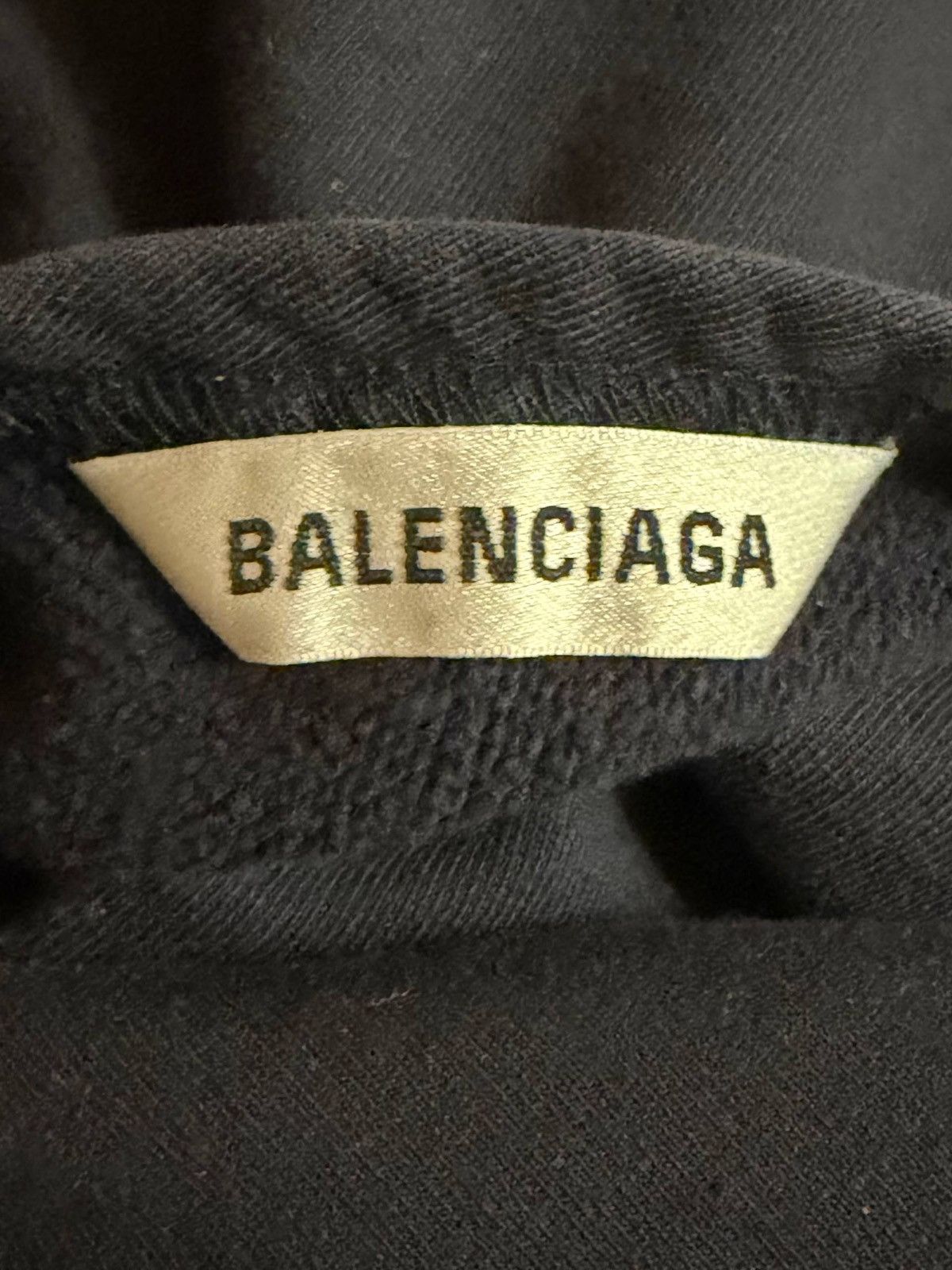 Balenciaga Tiger FBI hoodie