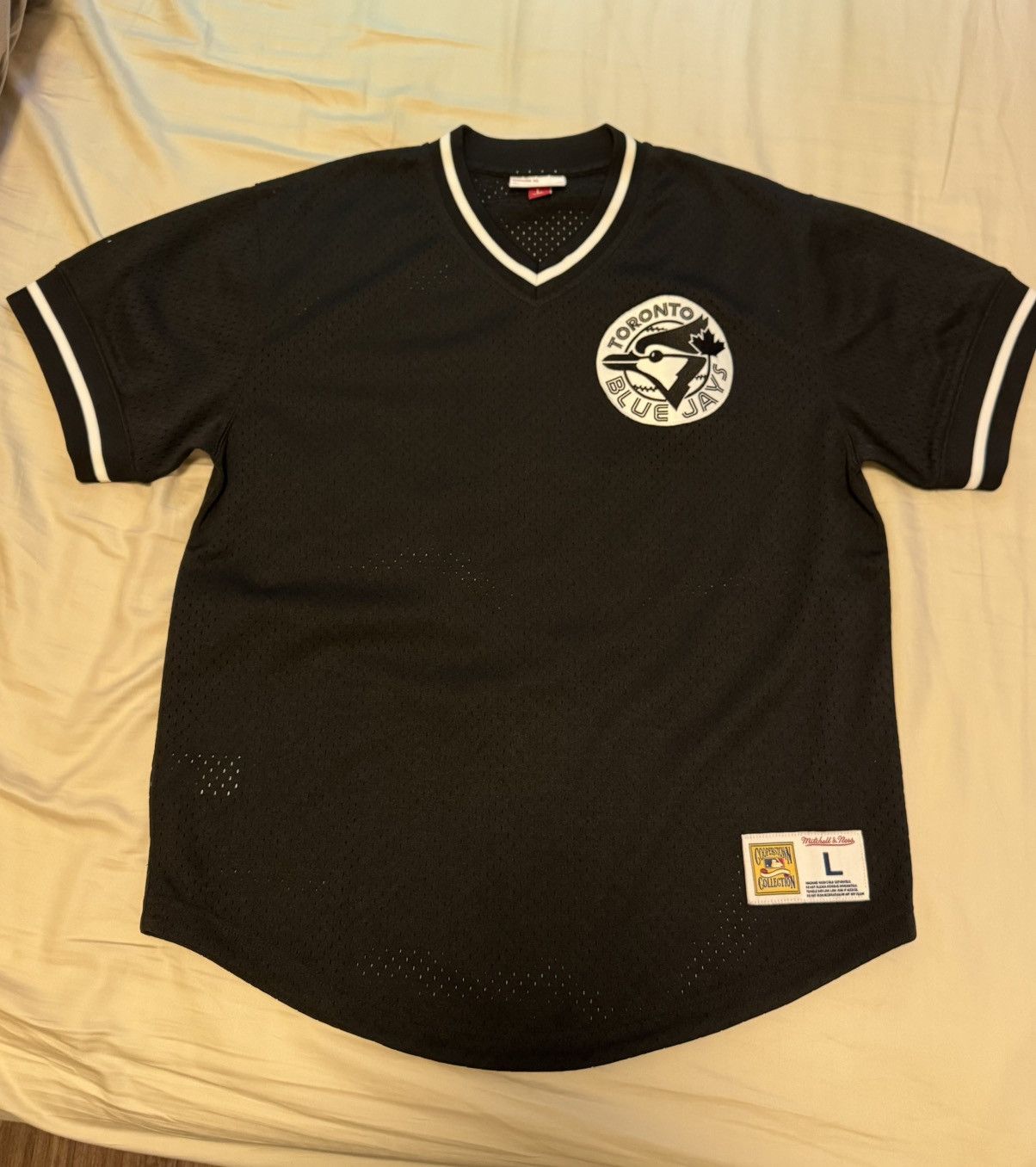 Mitchell & Ness Toronto Blue Jays Size US L / EU 52-54 / 3 - 1 Thumbnail