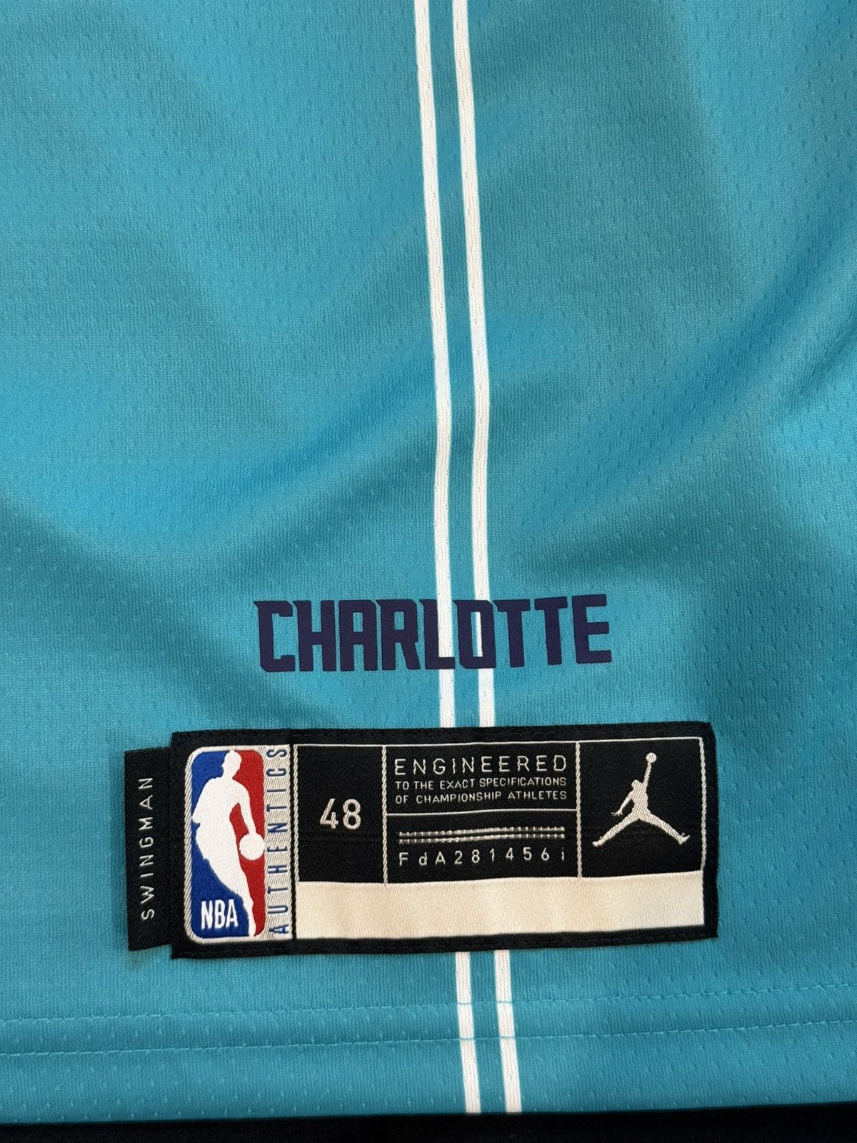 Nike LaMelo Ball Charlotte Hornets Jordan Jersey (Men’s L) Size US L / EU 52-54 / 3 - 3 Thumbnail