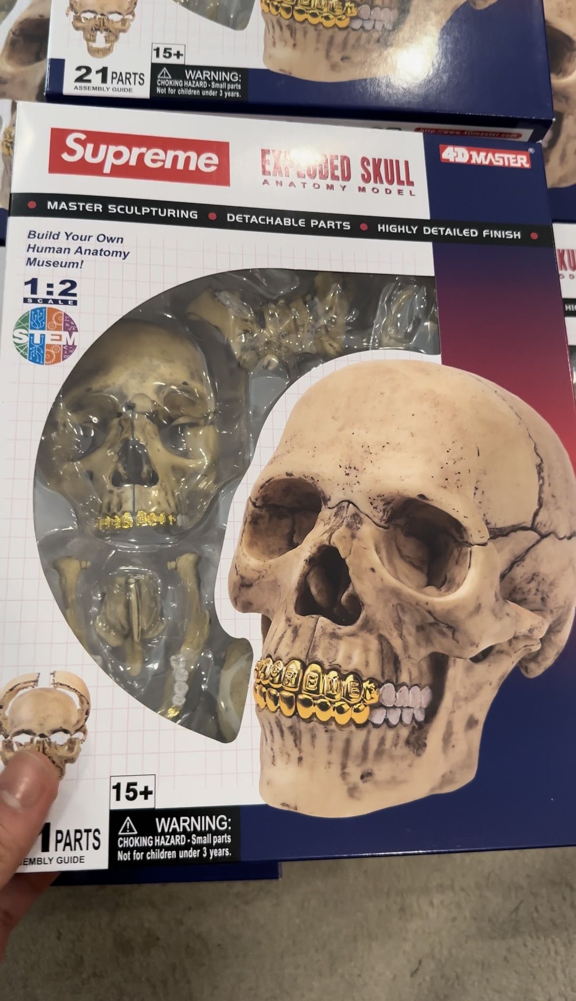 image of Supreme 4D Model Skull in Neutral Beige, Men's