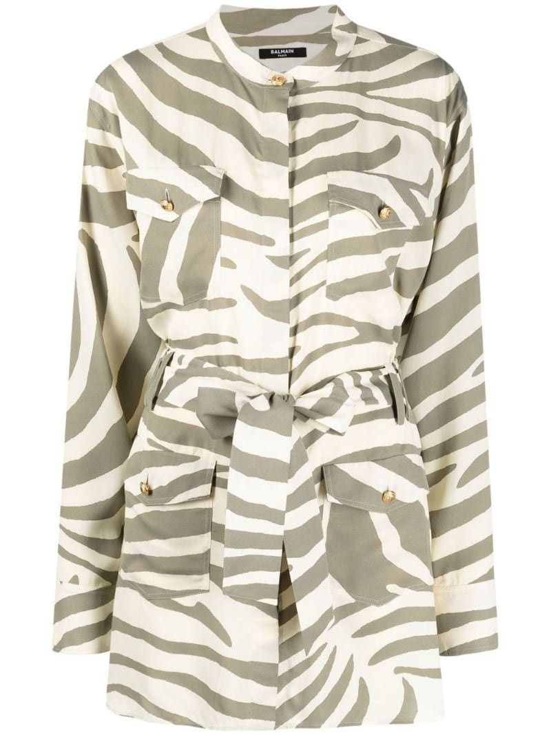 Balmain o1y0525 Shirt Mini Dress in Sage Green/White Size XS / US 0-2 / IT 36-38 - 1 Thumbnail