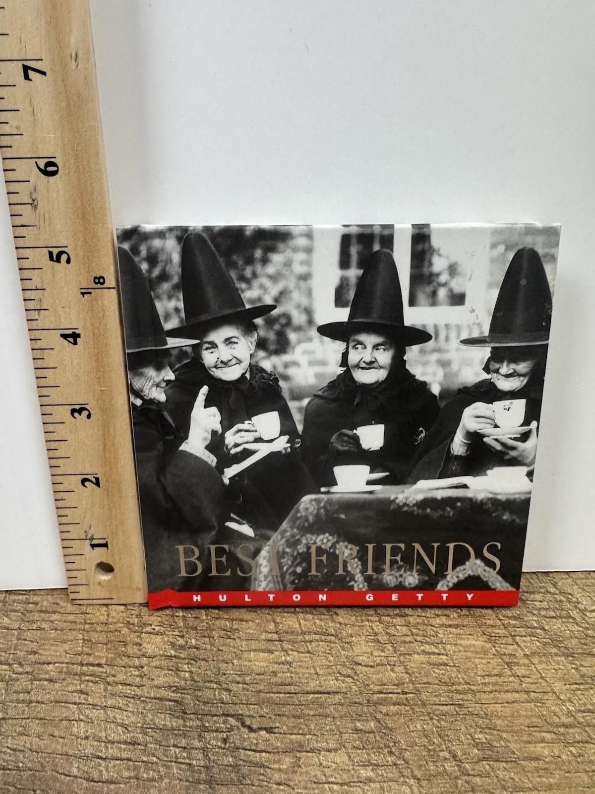 The Unbranded Brand Best Friends Hardcover By Hulton Getty -Great Gift! LIKE NEW Size ONE SIZE - 3 Thumbnail