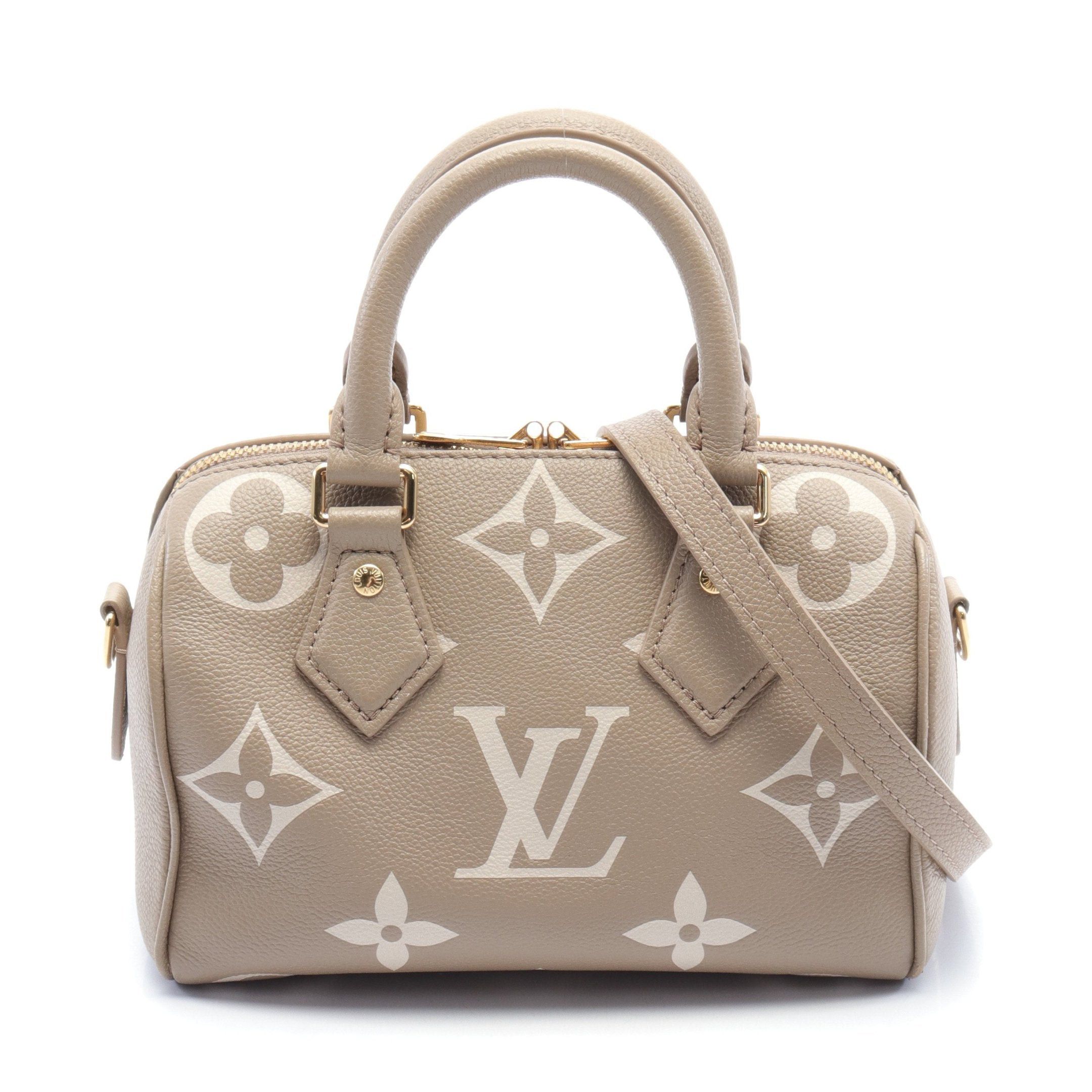 Louis Vuitton Louis Vuitton Speedy 20 Monogram Amplant Handbag Leather Gray Beige Size ONE SIZE - 1 Thumbnail