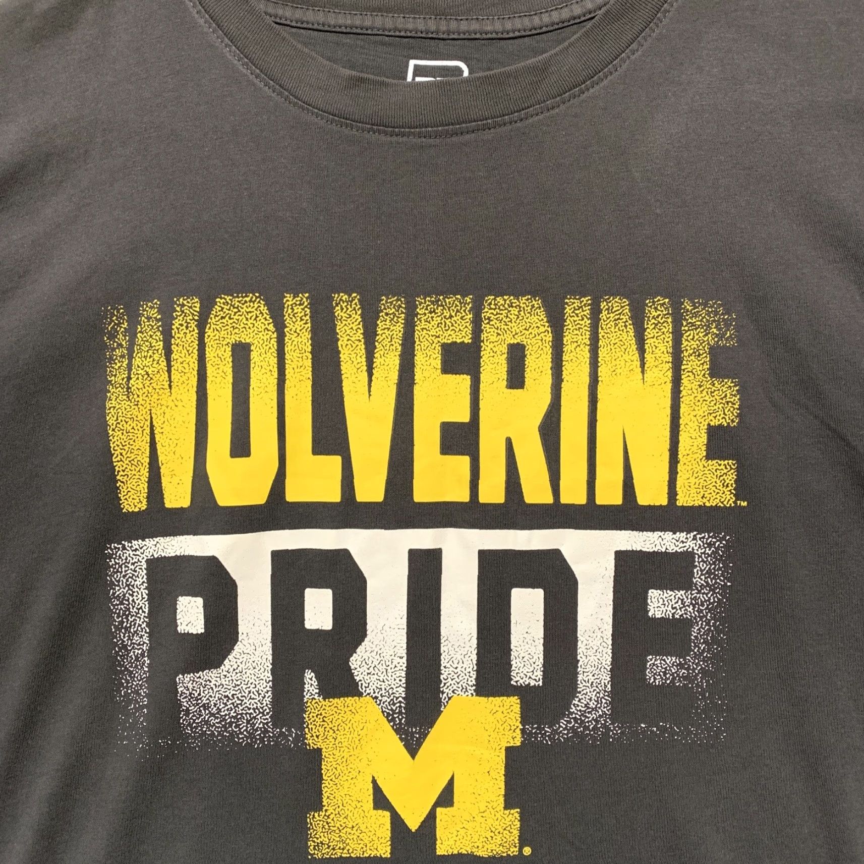 Vintage PE Pro Edge T-Shirt Michigan Wolverines Pride Mens Large Black White Yellow UofM Shirt Men Size US L / EU 52-54 / 3 - 2 Thumbnail