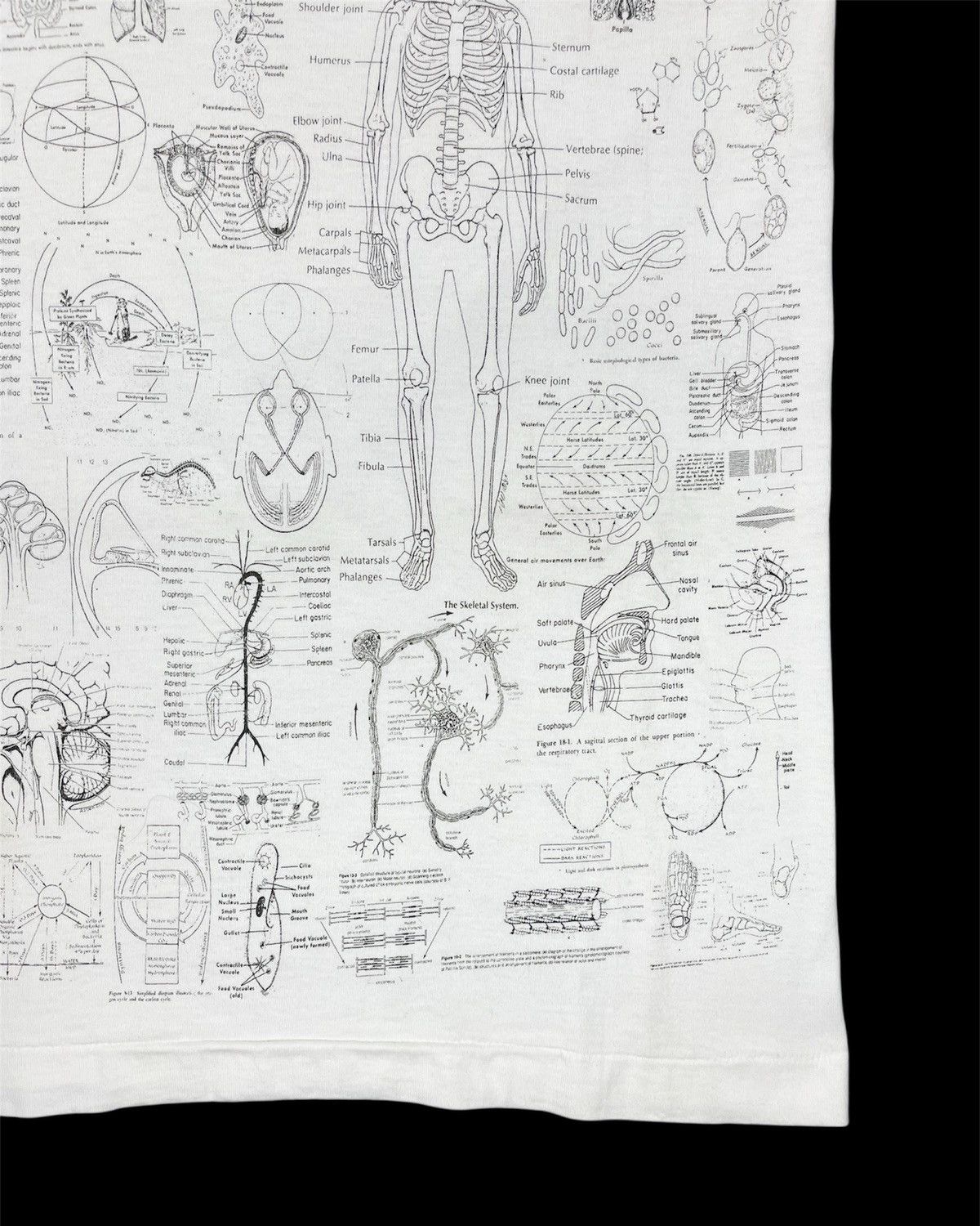 Vintage 1990s Blinded by Science Test Answer Anatomy Tee Size US M / EU 48-50 / 2 - 5 Thumbnail