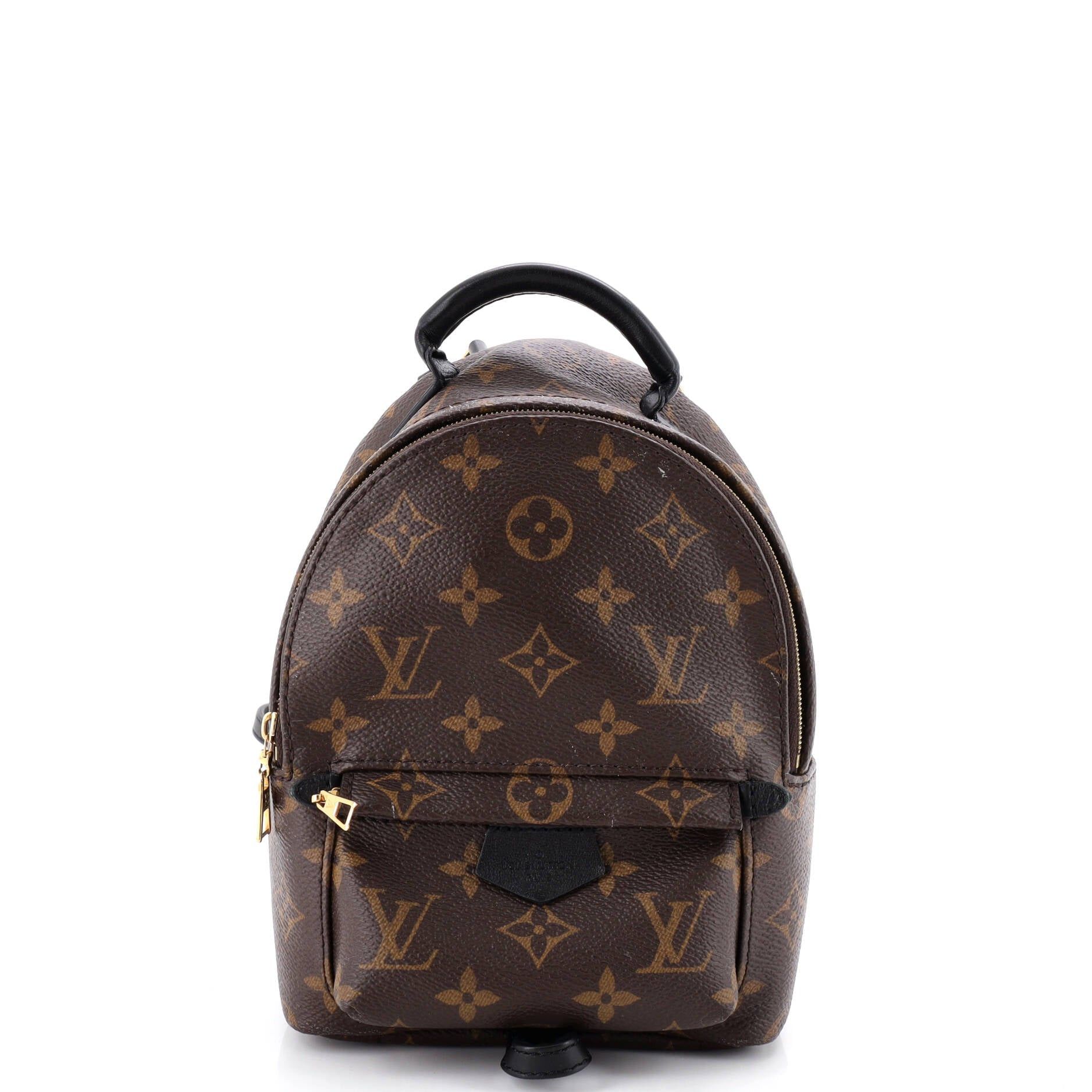 Louis Vuitton Palm Springs Backpack Size ONE SIZE - 1 Thumbnail