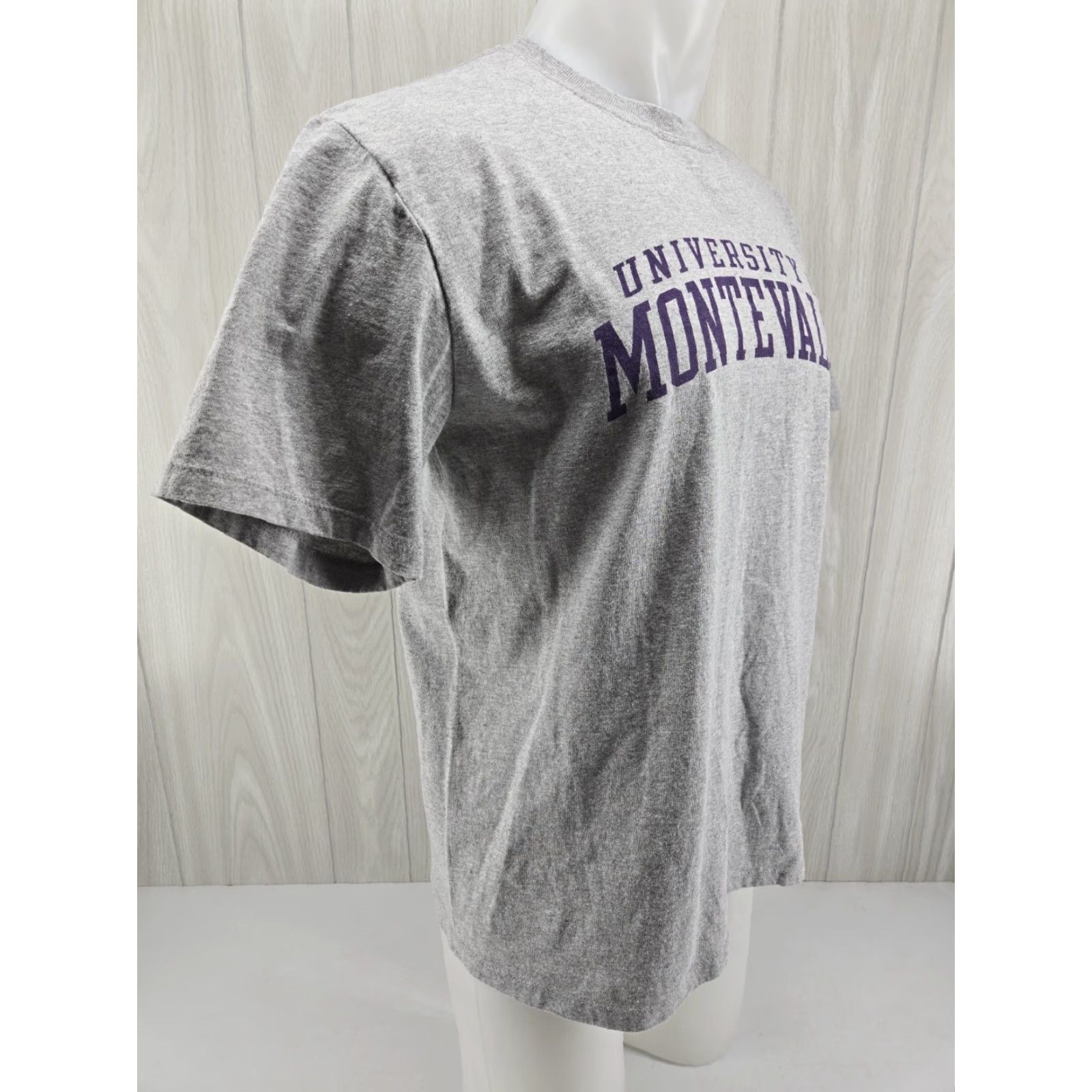 Vintage University of Montevallo Falcons UM T Shirt Size Large Gray Men Regular Cotton Short Sleeve Vintage No N/A Size US L / EU 52-54 / 3 - 6 Thumbnail