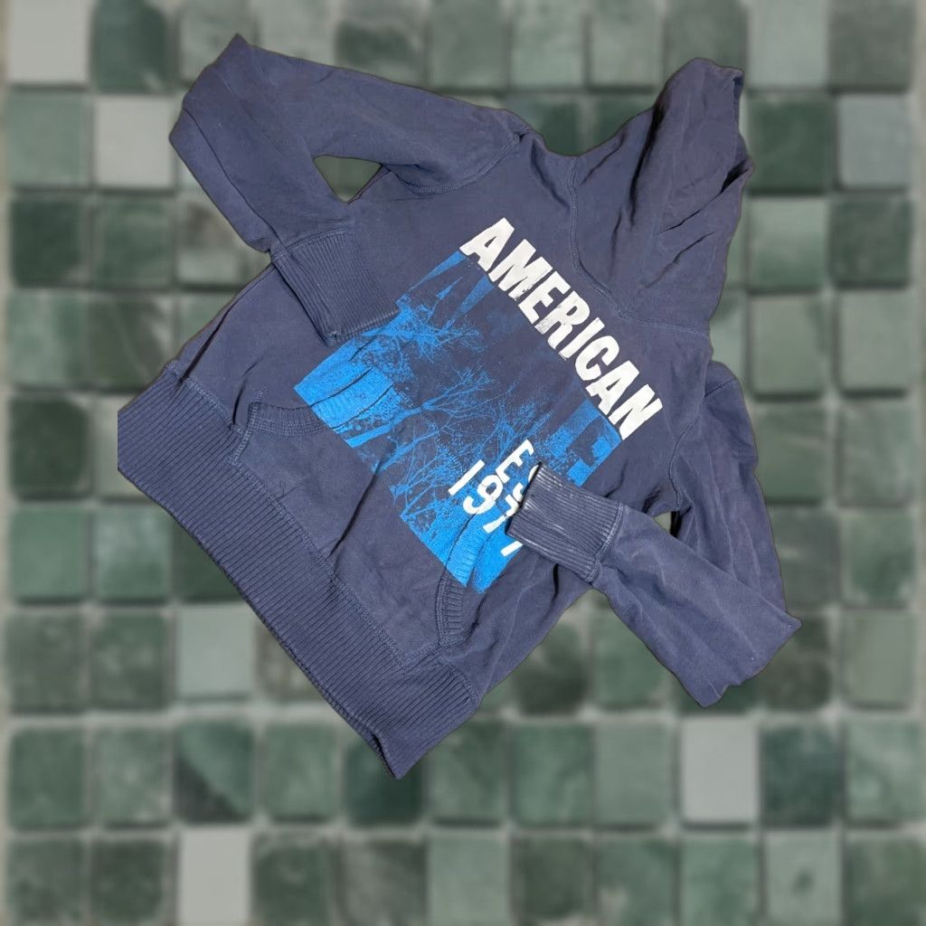 American Eagle Outfitters American Eagle Outfitters Hoodie Mens M Blue Hooded Sweatshirt Size US M / EU 48-50 / 2 - 1 Thumbnail
