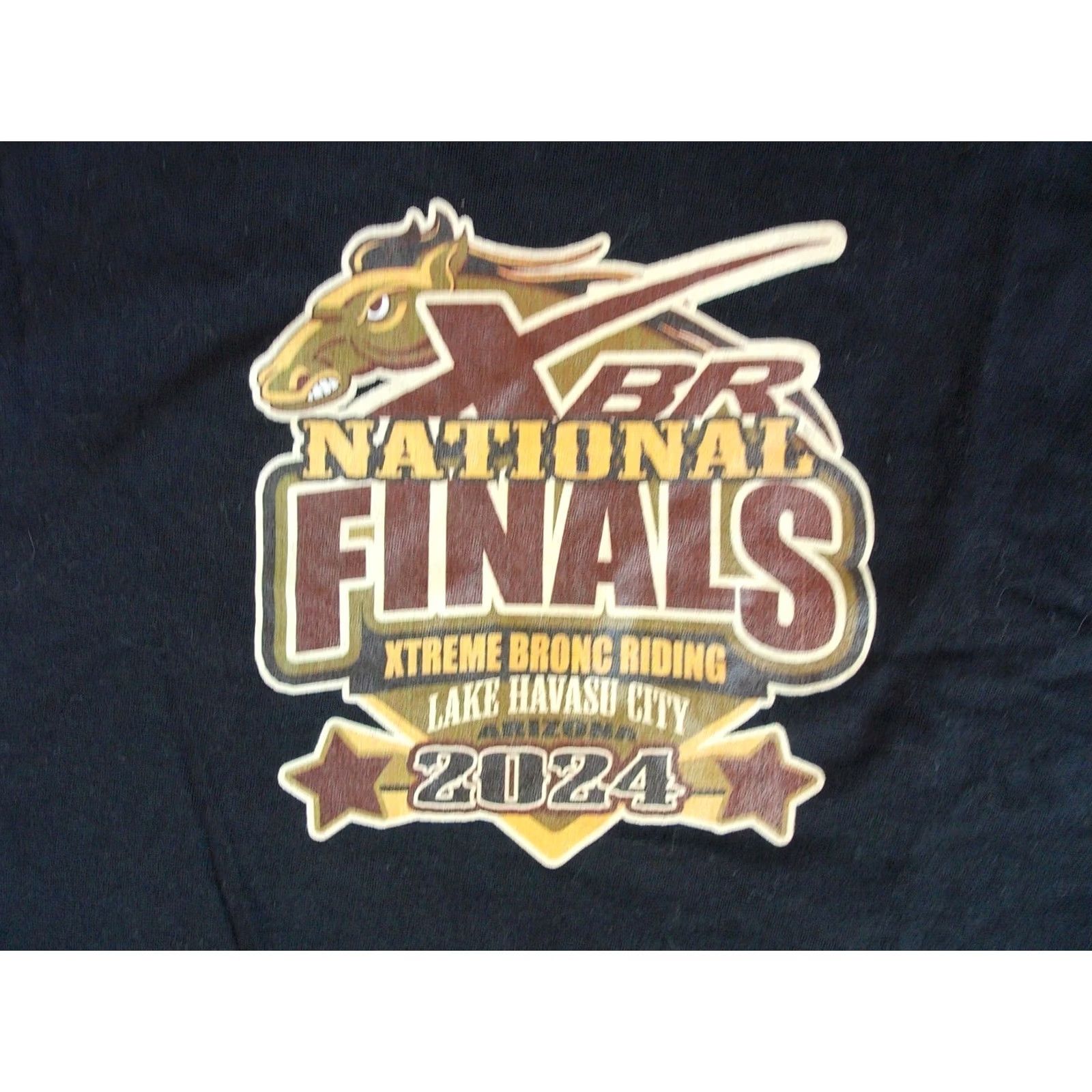Gildan XTREME BRONC RIDING t Shirt Men's XL RODEO National Finals 2024 Lake Havasu XBR Size US XL / EU 56 / 4 - 3 Thumbnail