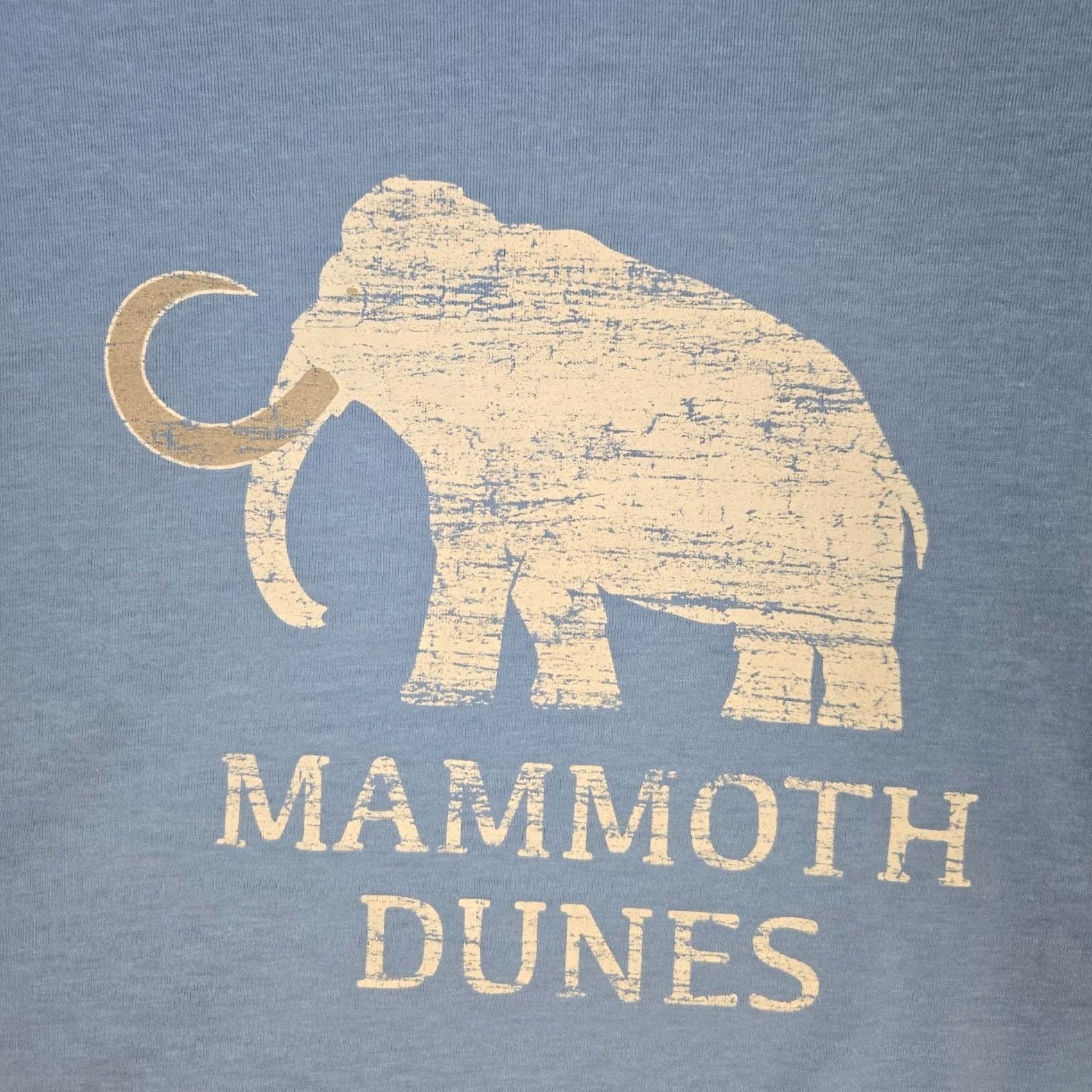 Vintage Levelwear Shirt Mens L Blue MAMMOTH DUNES SAND VALLEY Weight Hoodie Golf Size US L / EU 52-54 / 3 - 2 Thumbnail
